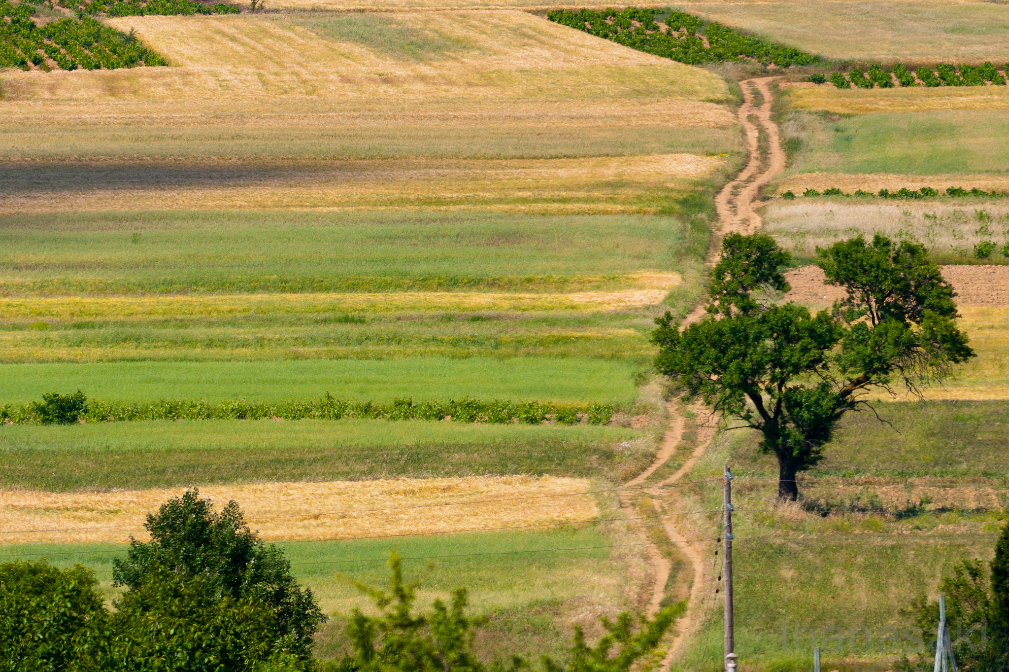 Sigma 150-500mm F5-6.3 DG OS HSM sample photo. Winding road photography