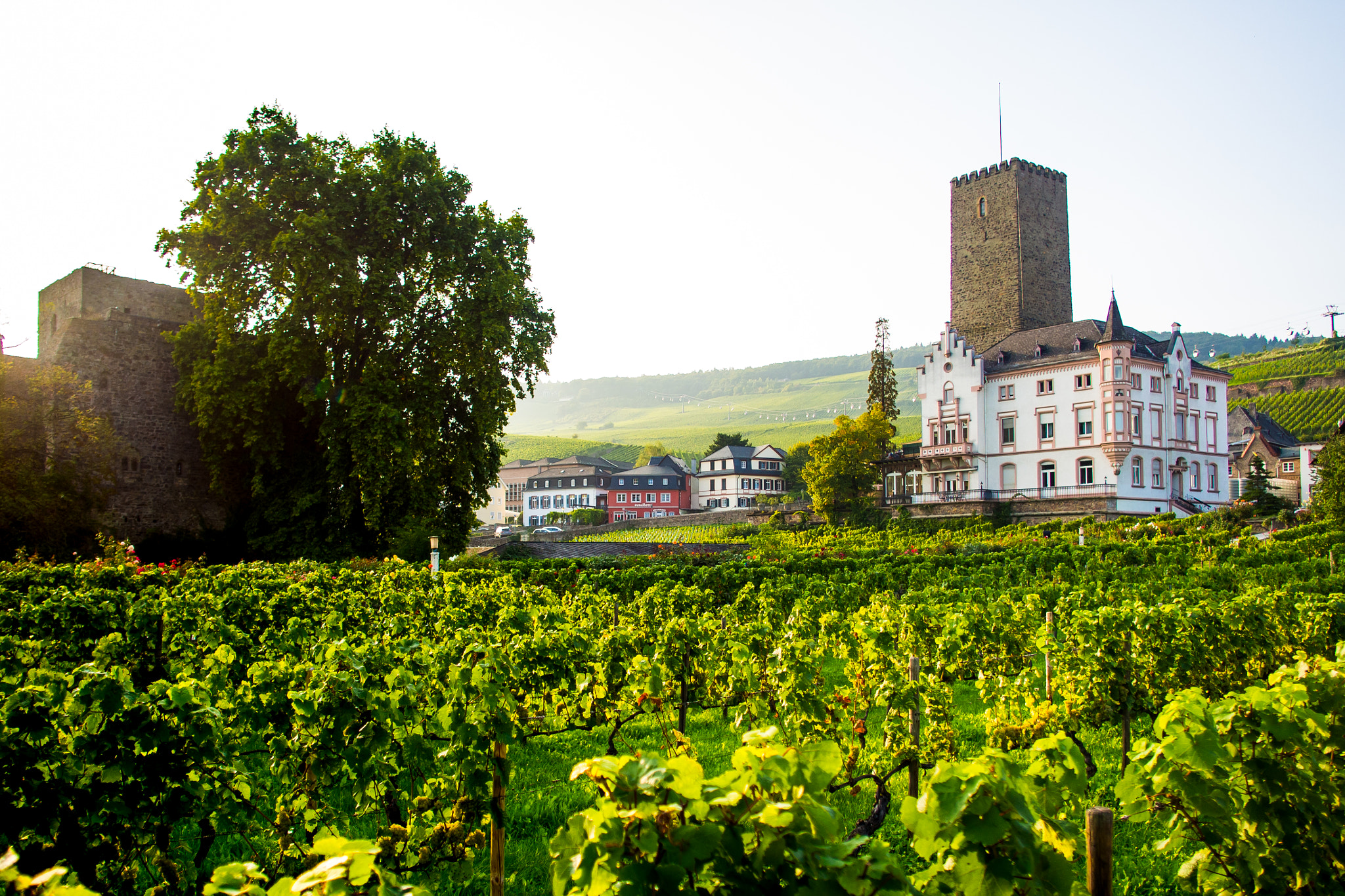 Olympus OM-D E-M5 + OLYMPUS M.12mm F2.0 sample photo. Rudesheim-01 photography