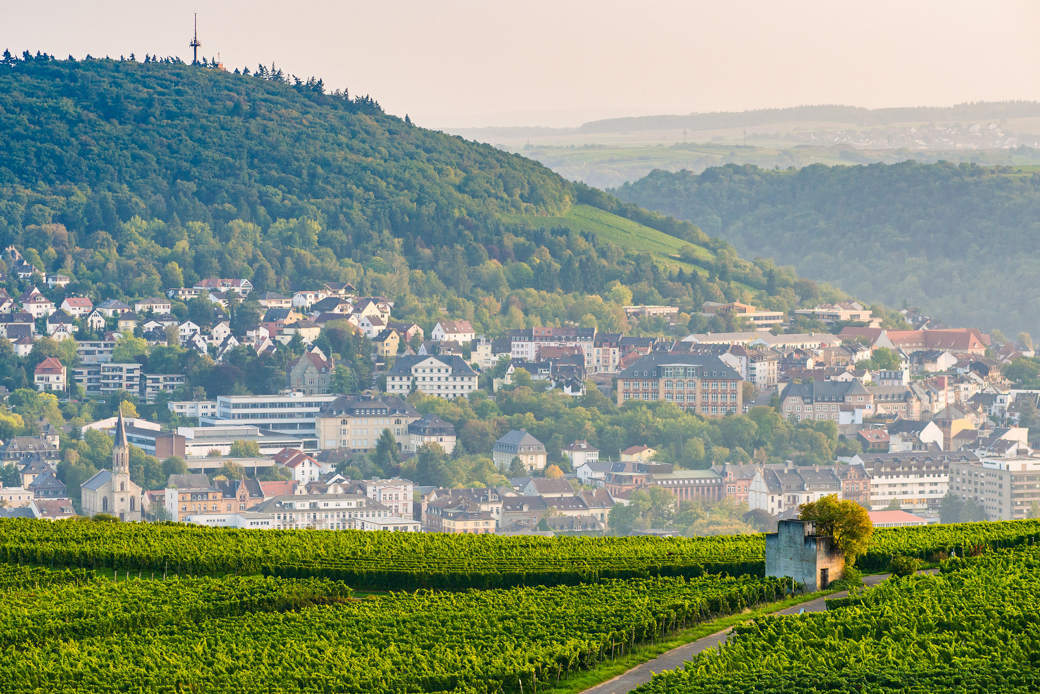 Olympus OM-D E-M5 + Olympus M.Zuiko Digital ED 75mm F1.8 sample photo. Rudesheim-02 photography