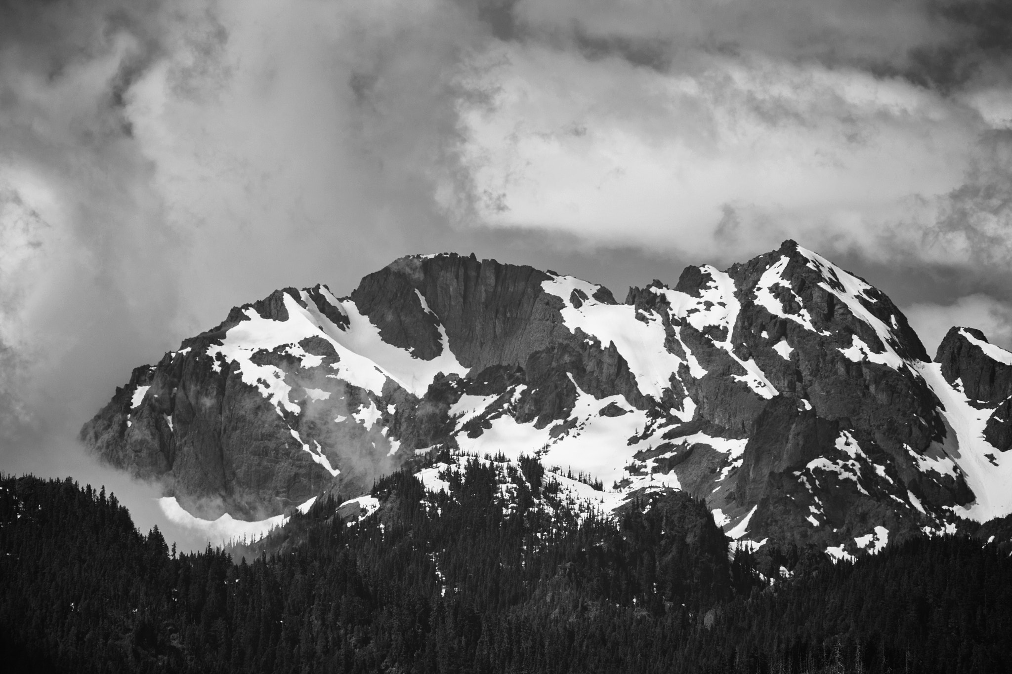 150-600mm F5-6.3 DG OS HSM | Sports 014 sample photo. Hurricane ridge photography