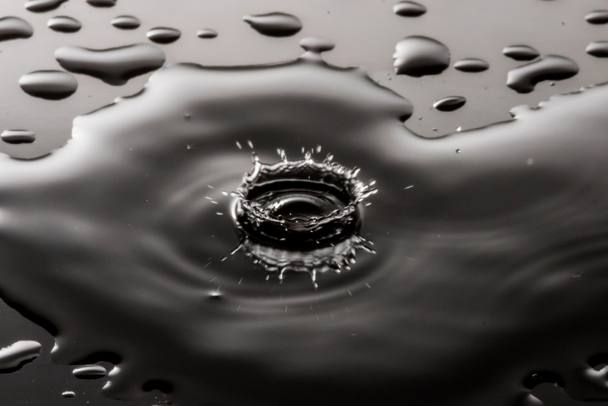 Canon EF 180mm F3.5L Macro USM sample photo. Water drop fun photography