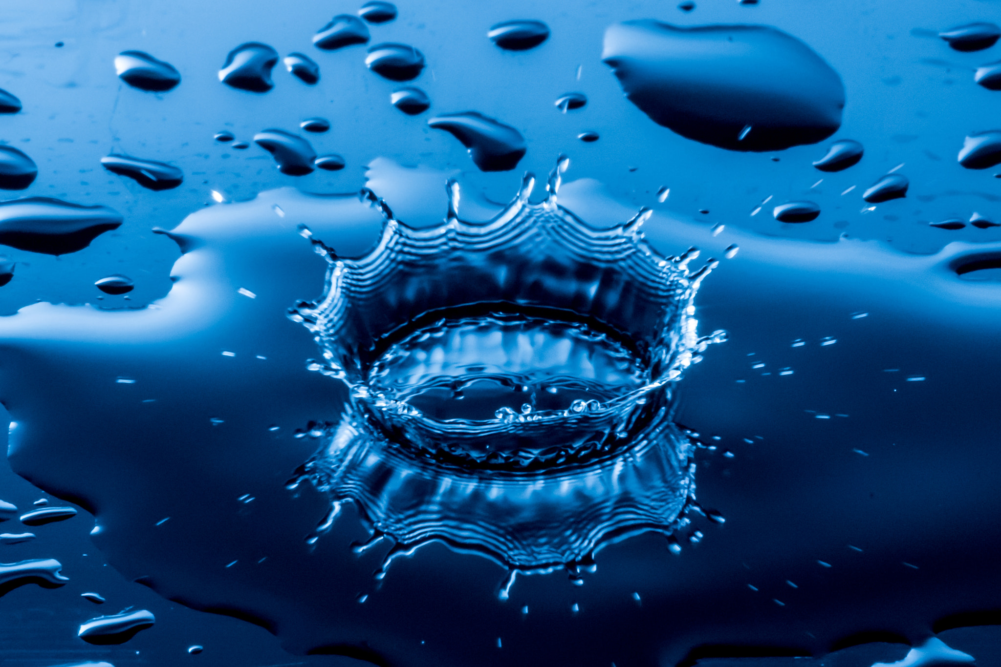 Canon EF 180mm F3.5L Macro USM sample photo. Water drop fun photography