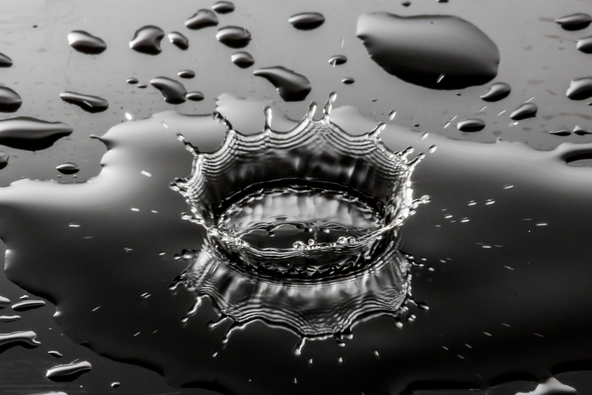 Canon EF 180mm F3.5L Macro USM sample photo. Water drop fun photography