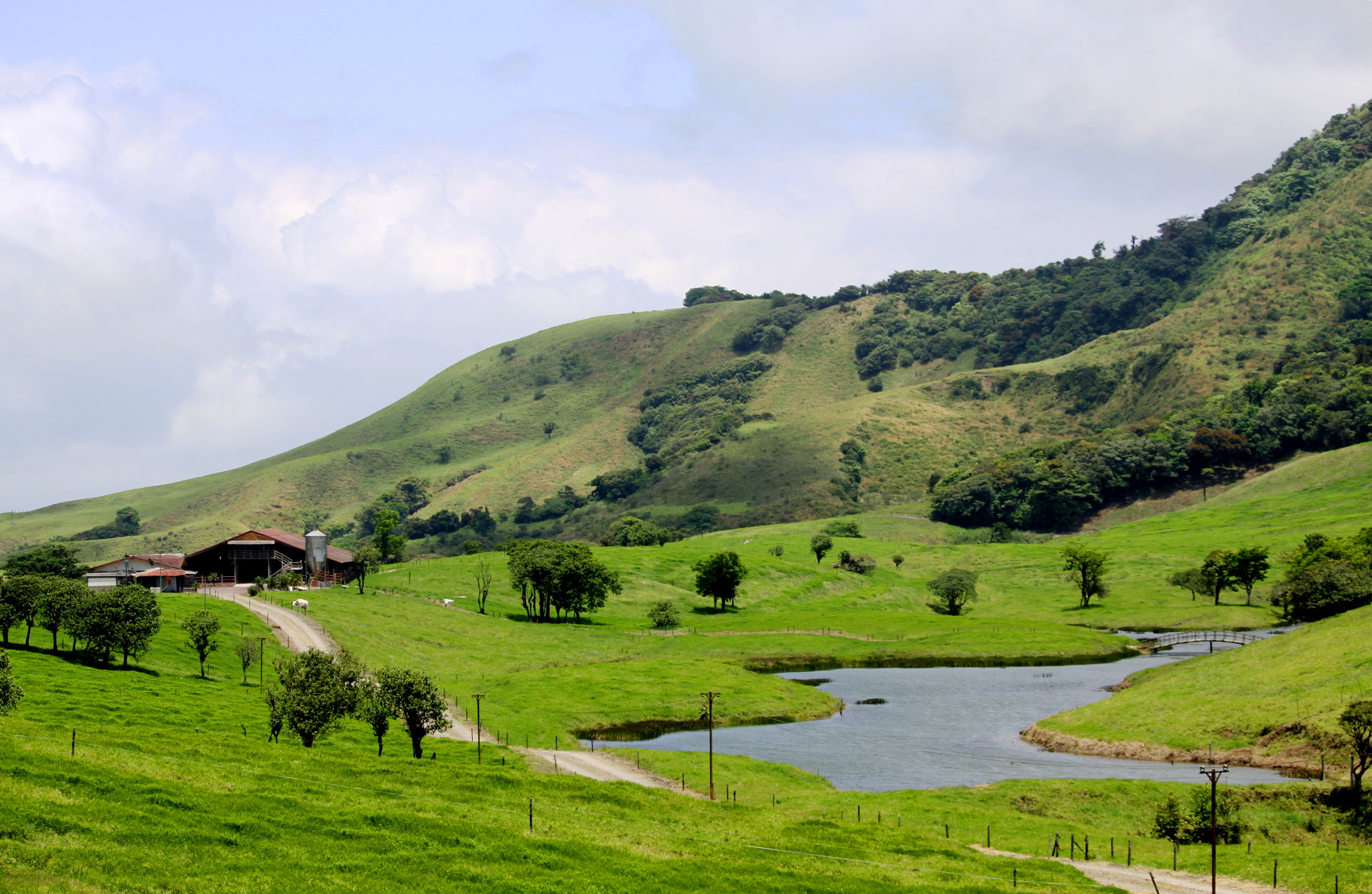 Canon EF-S 55-250mm F4-5.6 IS STM sample photo. Finca lechera photography