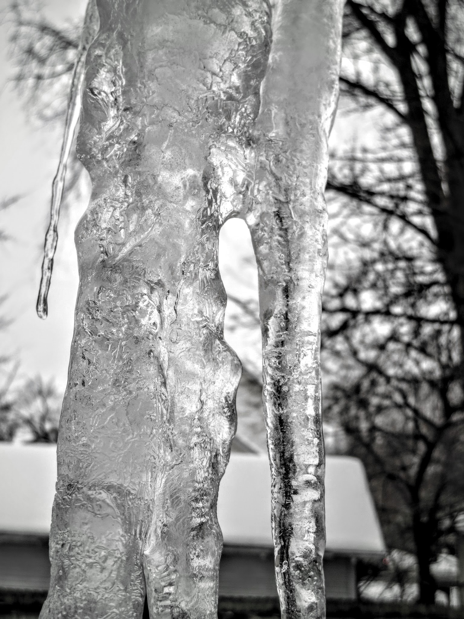 Canon PowerShot ELPH 330 HS (IXUS 255 HS / IXY 610F) sample photo. Icicle photography