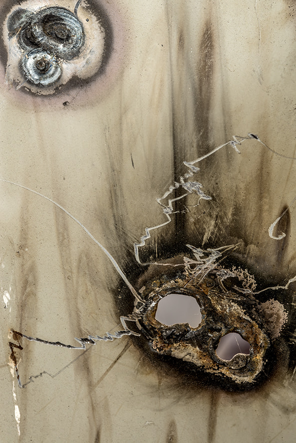 Sigma 105mm F2.8 EX DG OS HSM sample photo. Daniel deputot 4 photography
