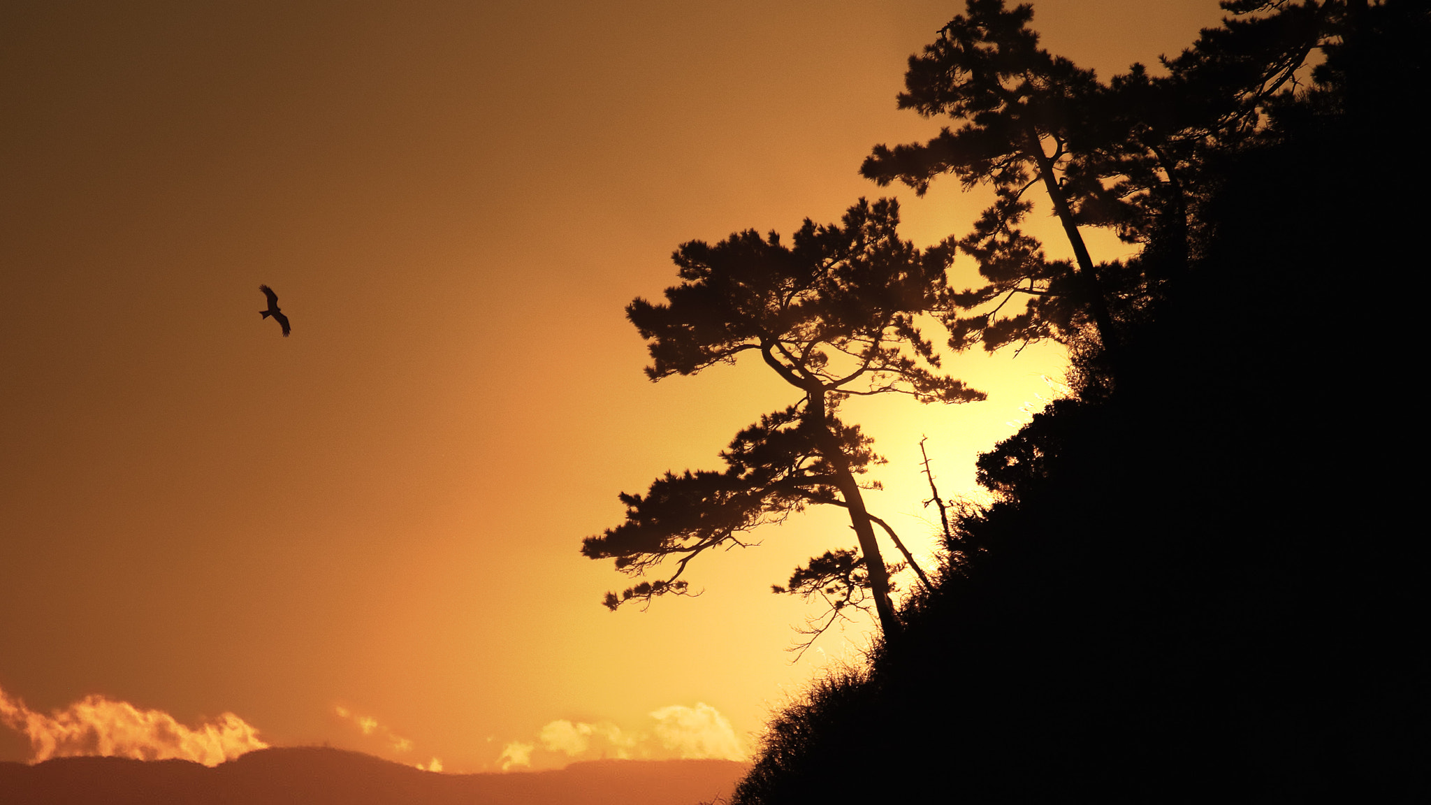 Canon EOS M3 sample photo. Sunset photography