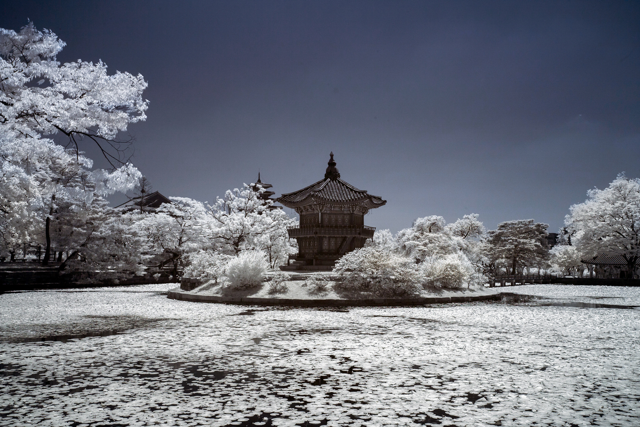Canon EOS 5D + Canon EF 16-35mm F4L IS USM sample photo. Hyangwonjeong photography