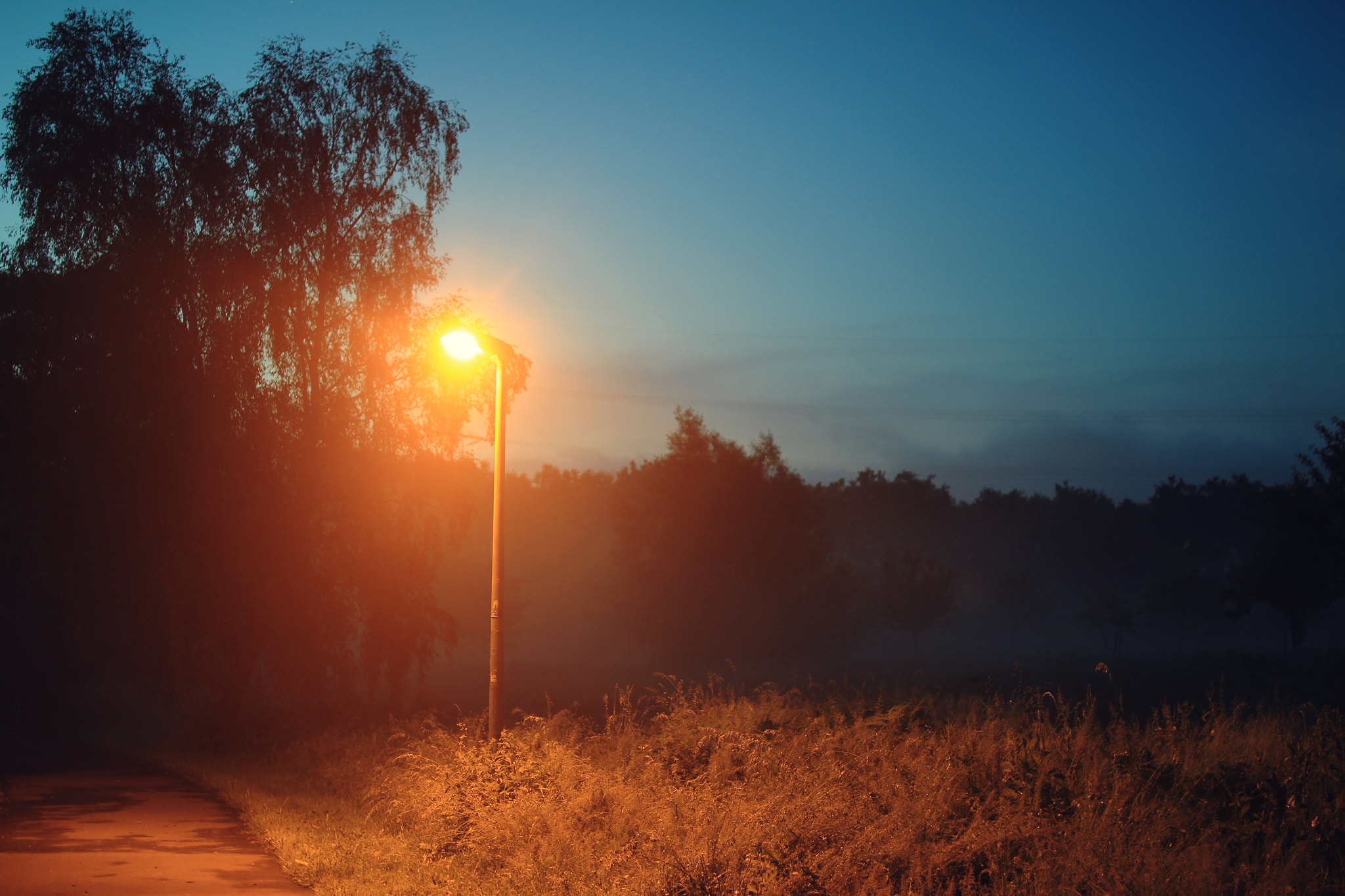 Sigma 30mm F1.4 EX DC HSM sample photo. Foggy lantern photography
