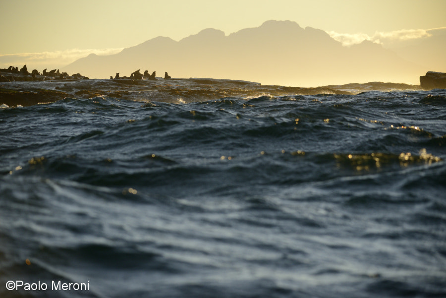 Sigma 150-500mm F5-6.3 DG OS HSM sample photo. Dawn in the false bay - www.paolomeroni.com photography