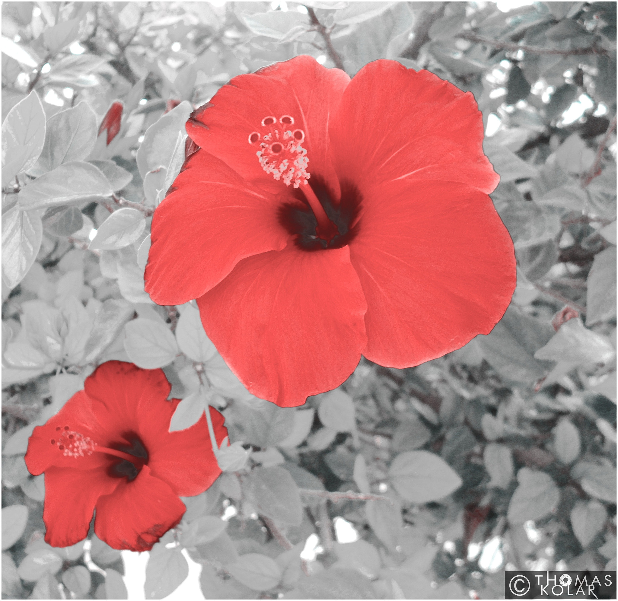 PENTACON DCZ 10.4 sample photo. 26935916236.jpg photography