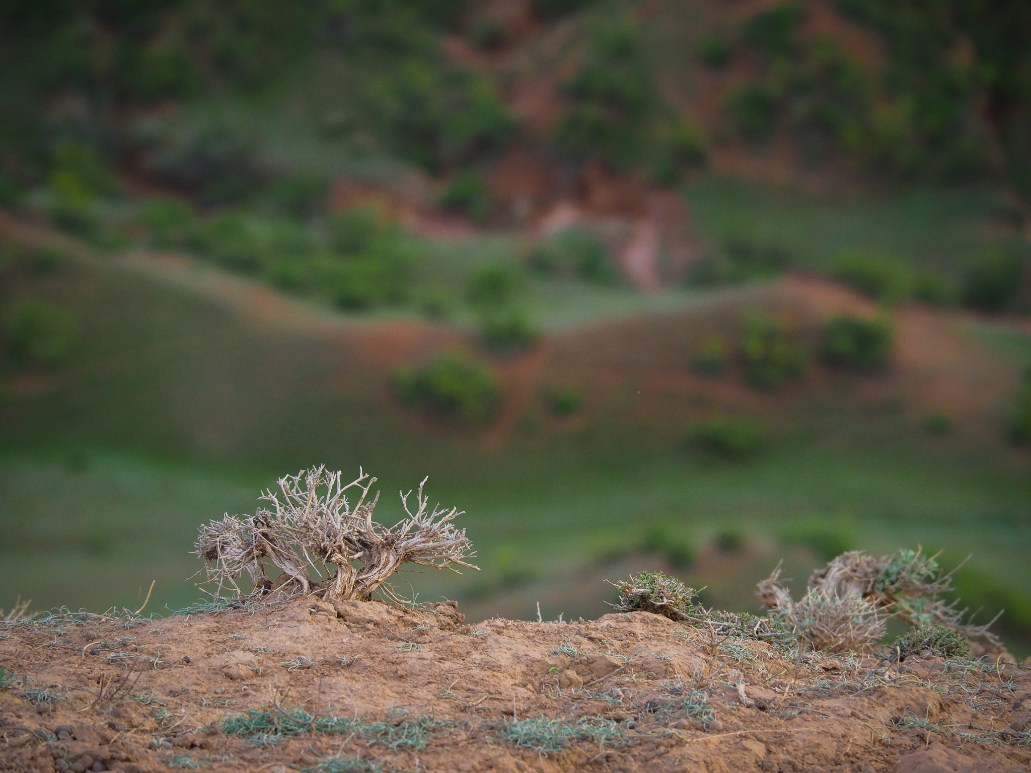 Olympus OM-D E-M5 II sample photo. On the edge photography