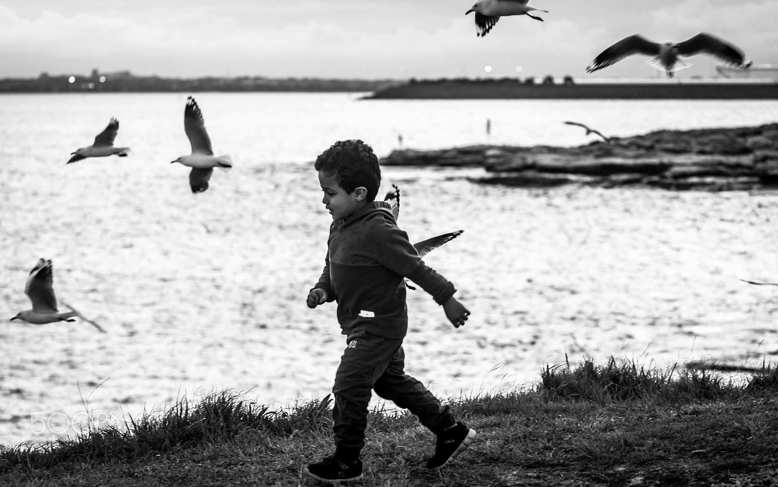 Canon EF 100-400mm F4.5-5.6L IS II USM sample photo. Chasing the wind photography