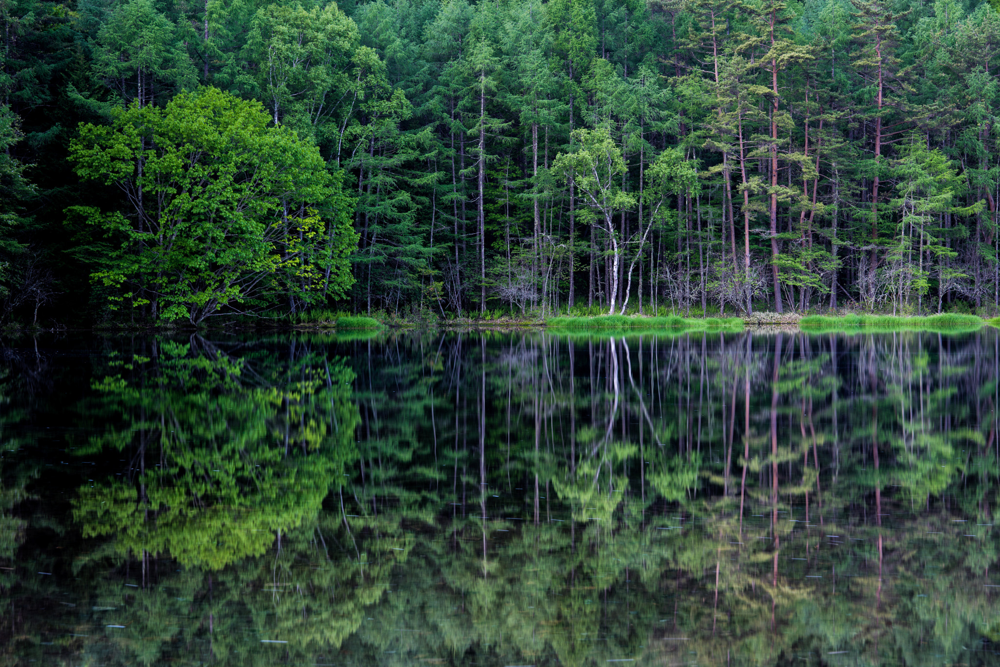 Sony a7R sample photo. Green reflection photography