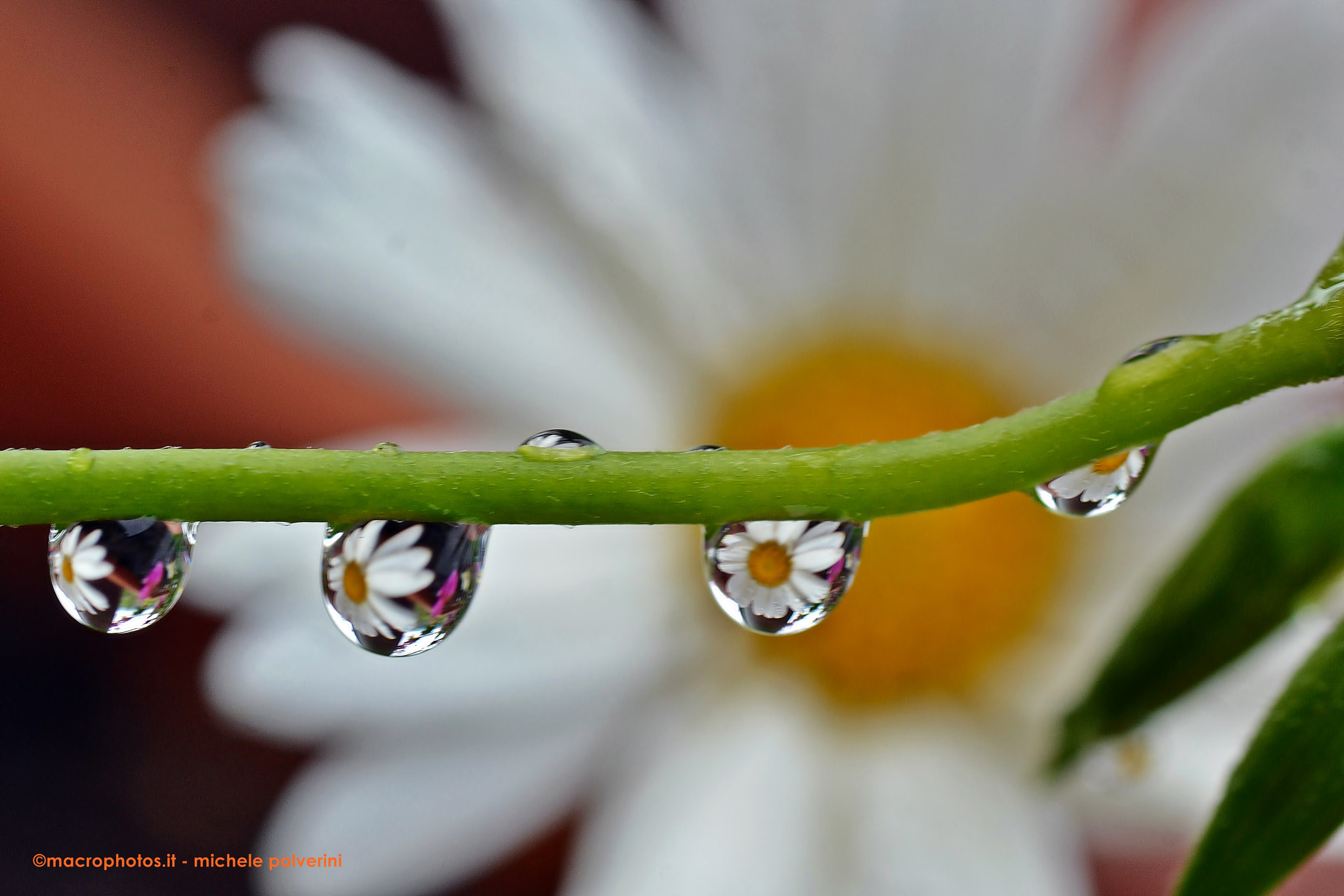 Nikon D3100 sample photo. Riflessi giu () photography
