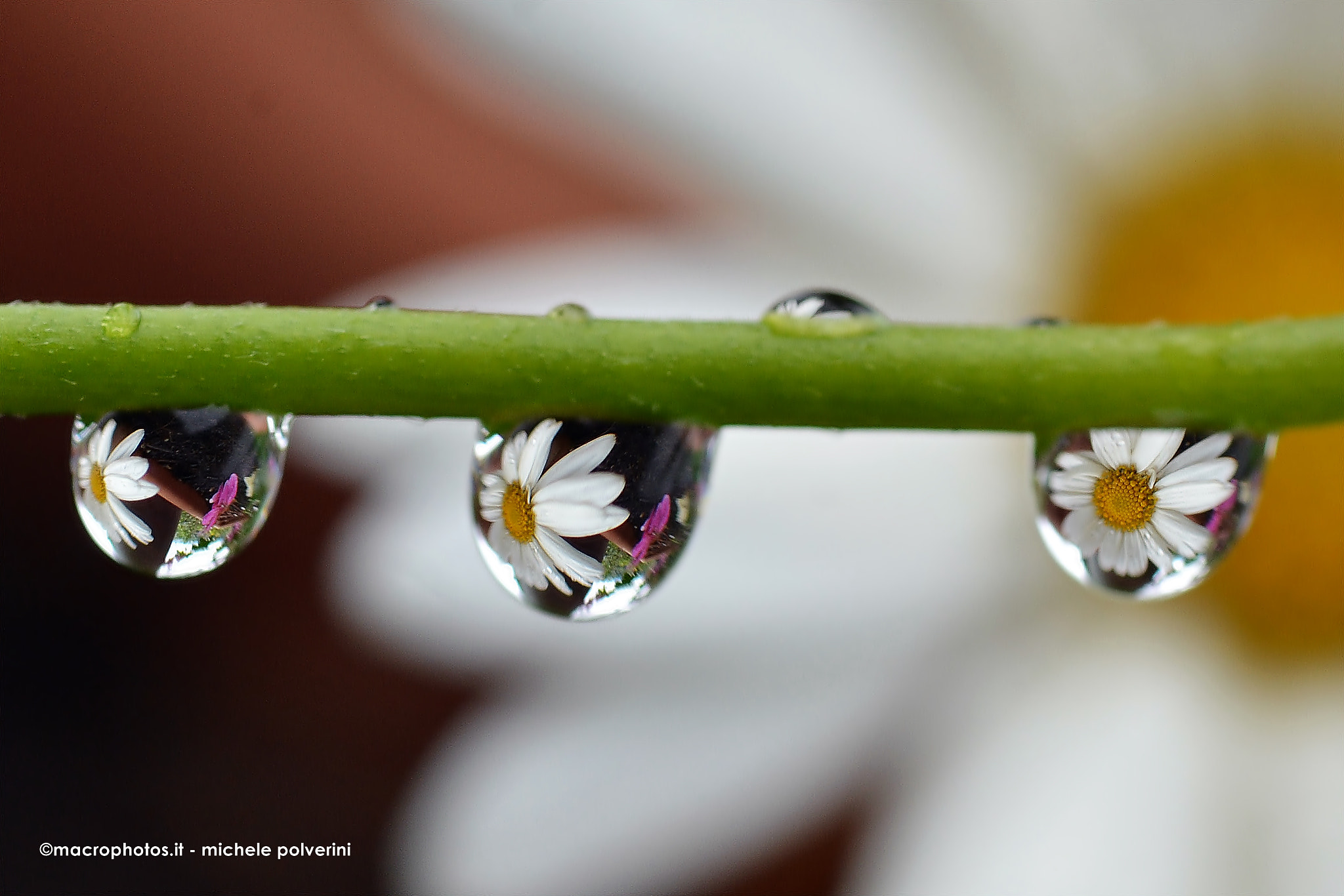 Nikon D3100 sample photo. Riflessi giu () photography