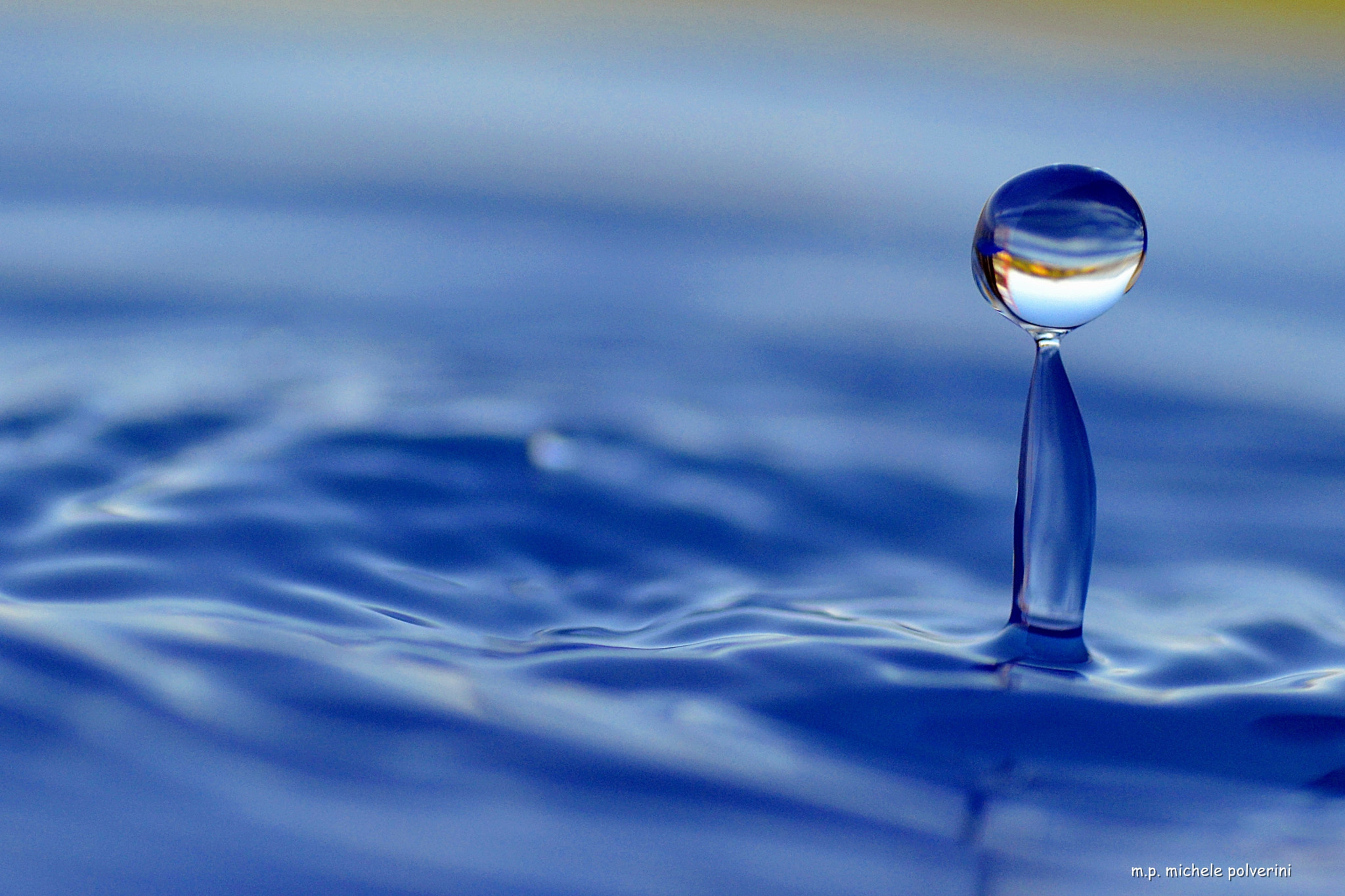 Nikon D3100 sample photo. Birillo d'acqua sett photography