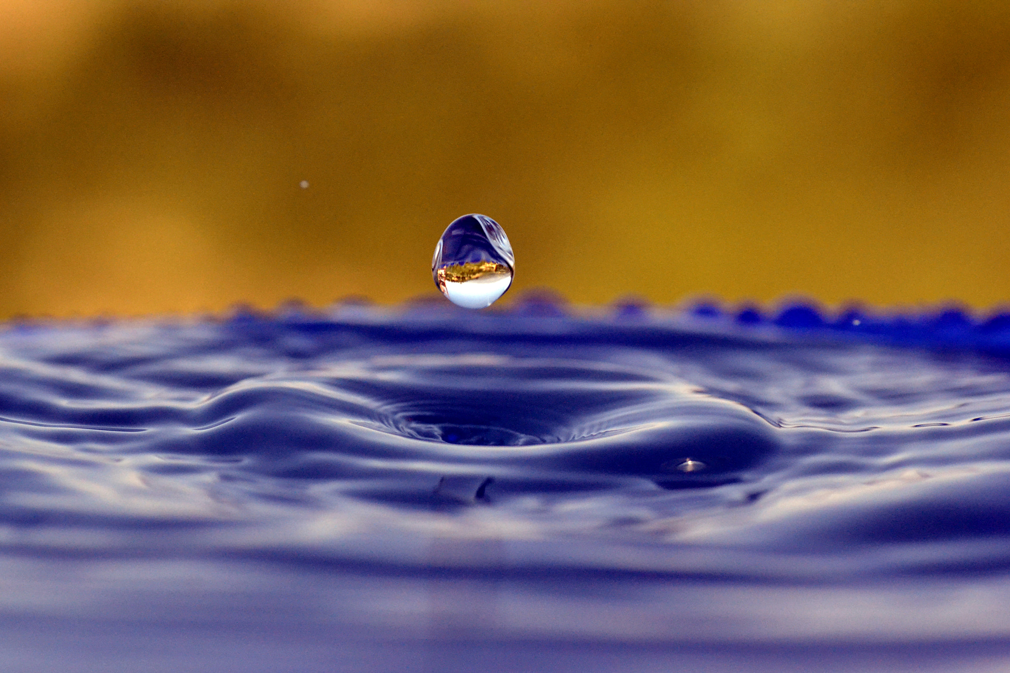 Nikon D3100 sample photo. In caduta libera sett photography