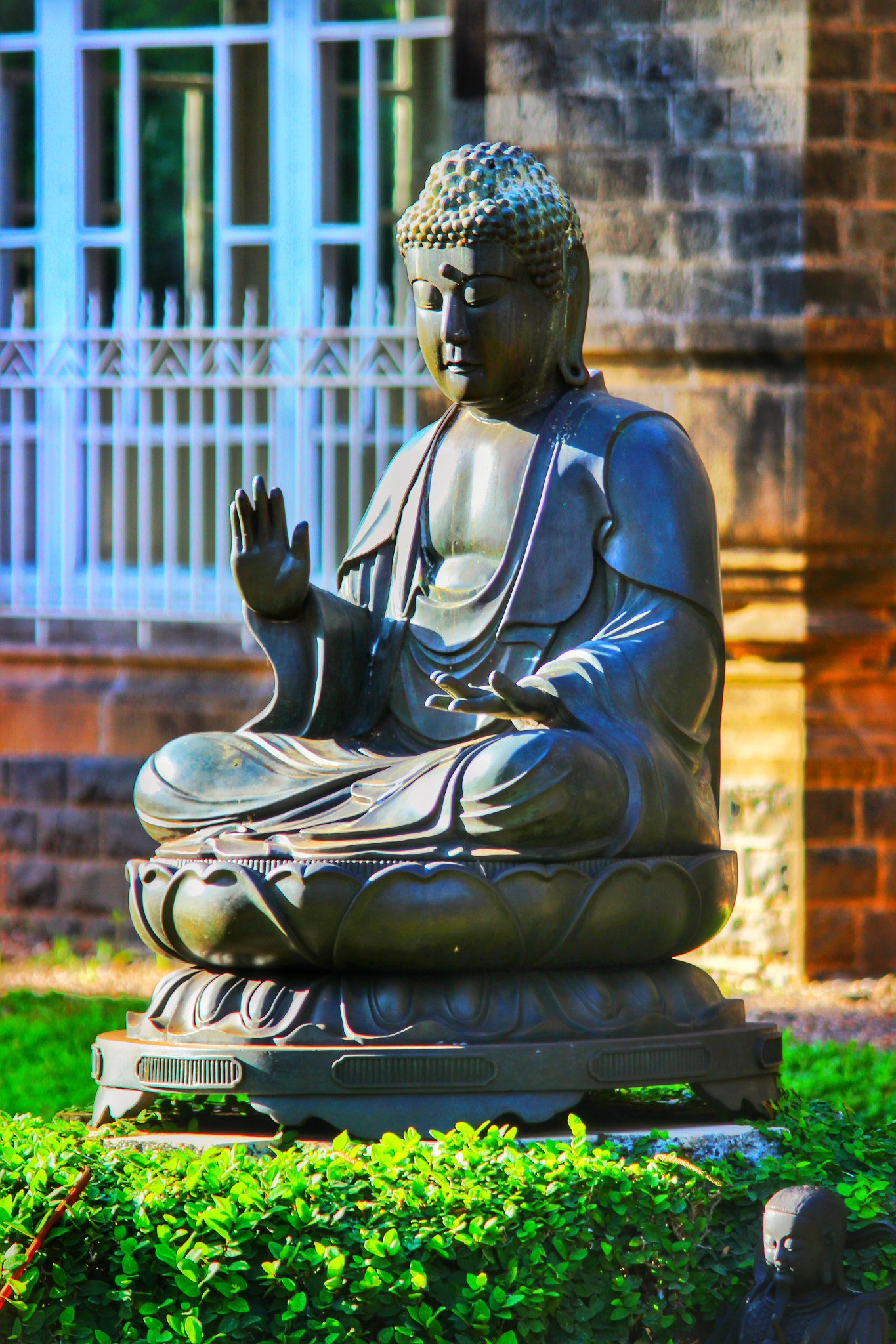 Canon EF-S 55-250mm F4-5.6 IS II sample photo. The enlightened one photography