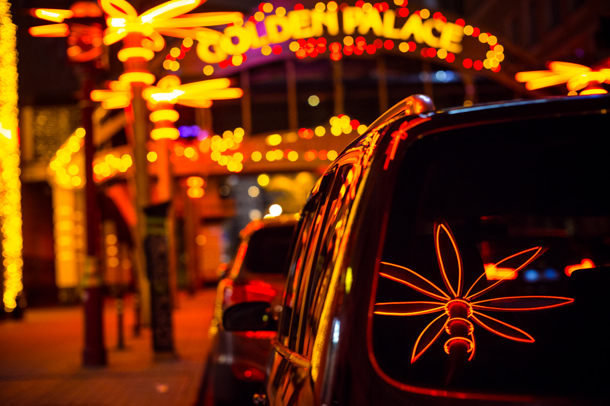 Canon EF 28-80mm f/3.5-5.6 sample photo. Golden palace photography
