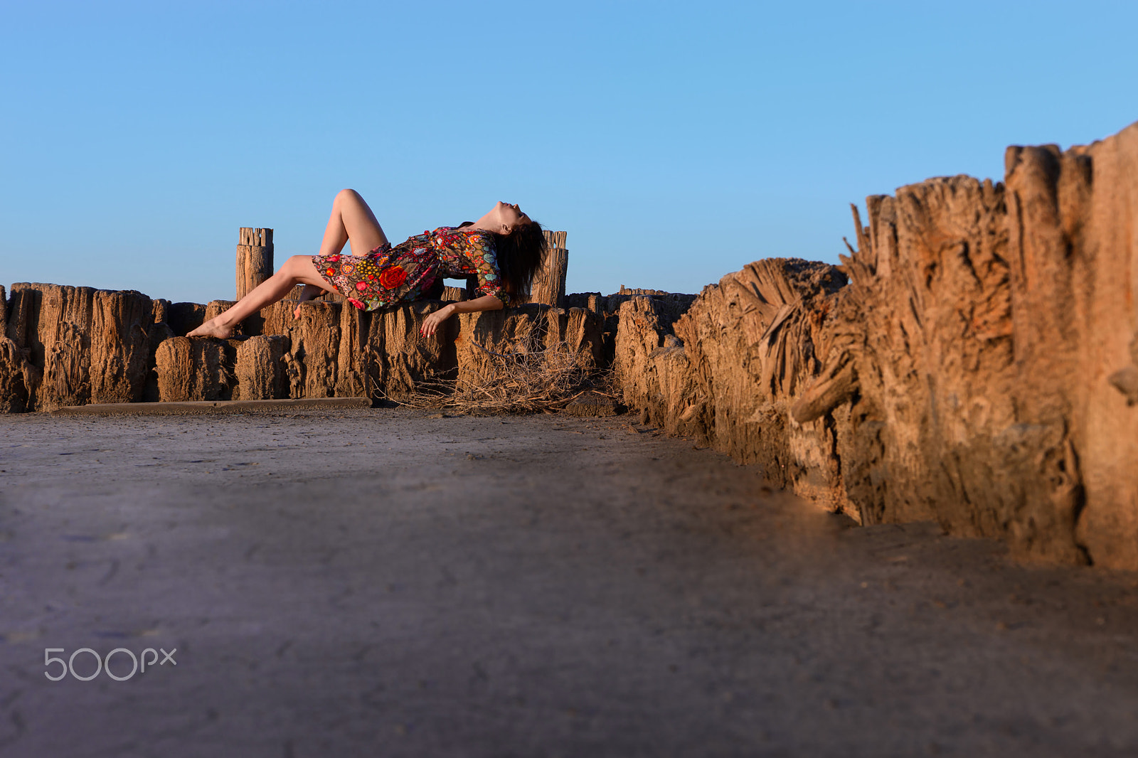 Sony Alpha a99 sample photo. Hot in the dead lake photography
