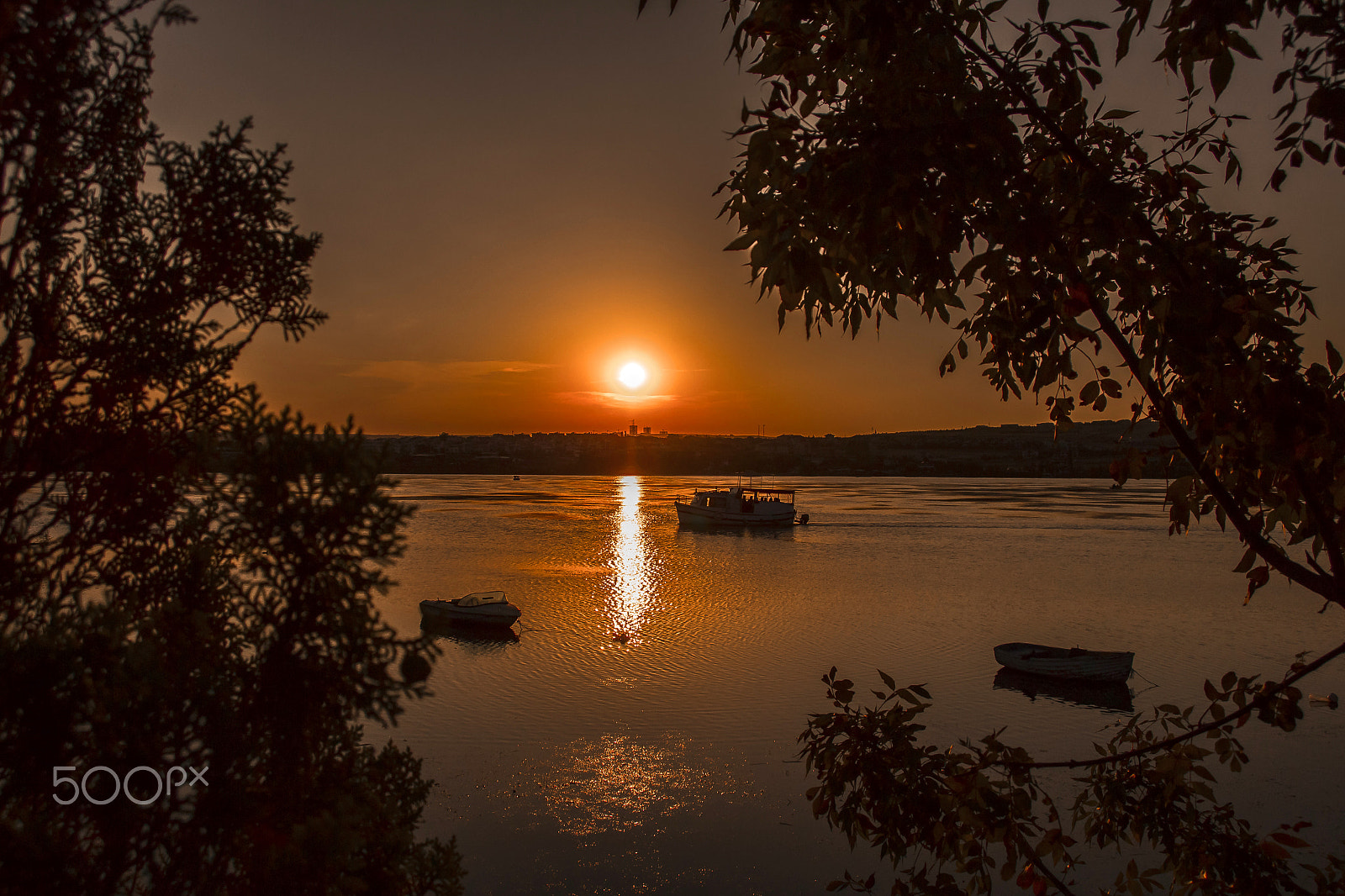 Sigma 18-250mm F3.5-6.3 DC OS HSM sample photo. Moğan lake photography