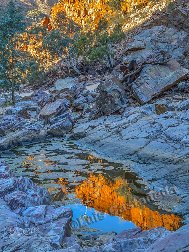 Panasonic Lumix DMC-L10 sample photo. Ormiston gorge and pound. australia photography