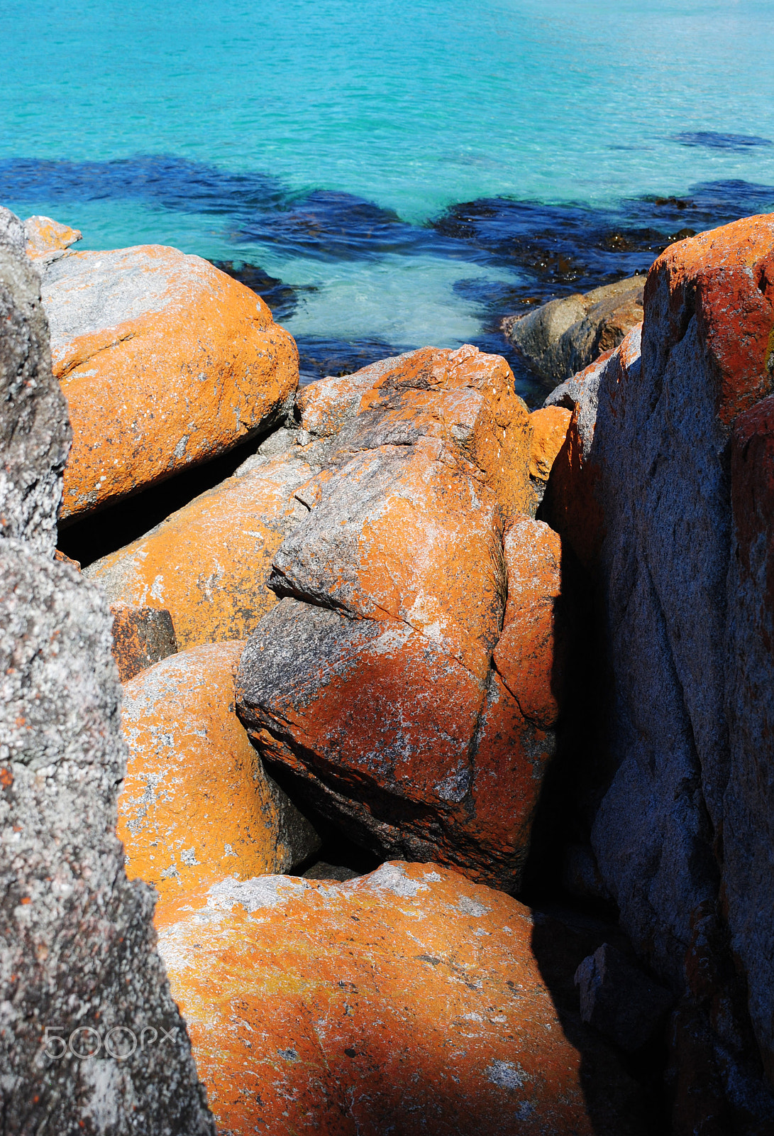 Nikon D3000 sample photo. The orange and the big blue photography