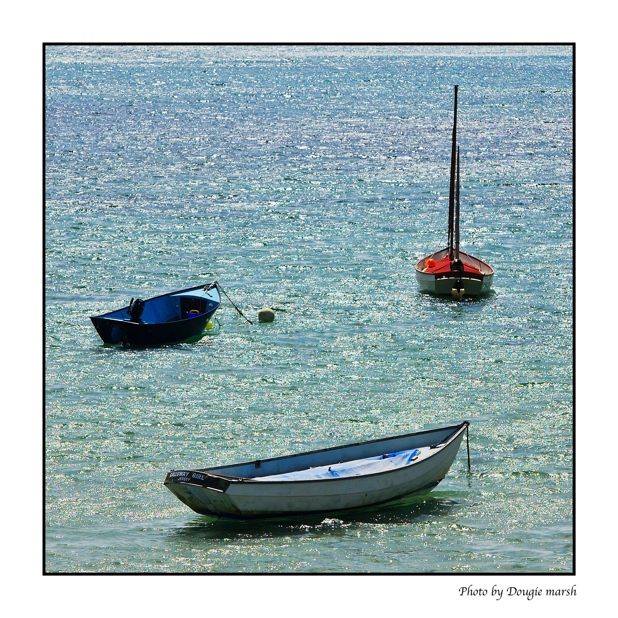 Canon 70.0-200.0 mm sample photo