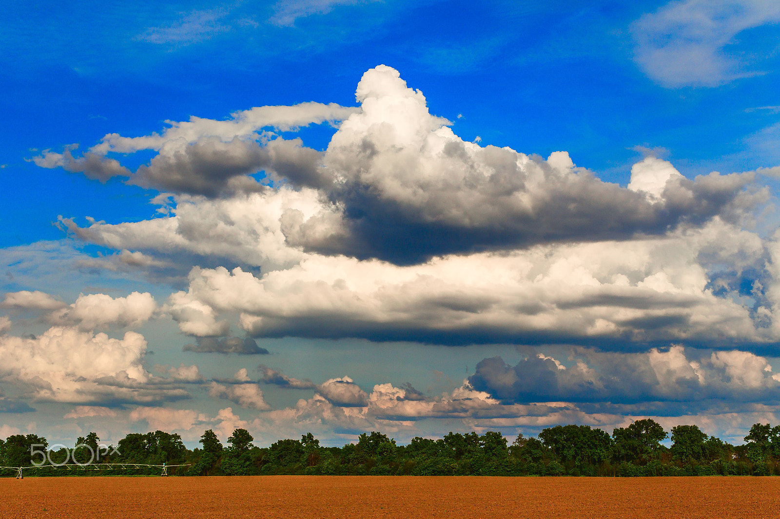 Canon EOS-1D Mark IV sample photo. Fields of kuban photography