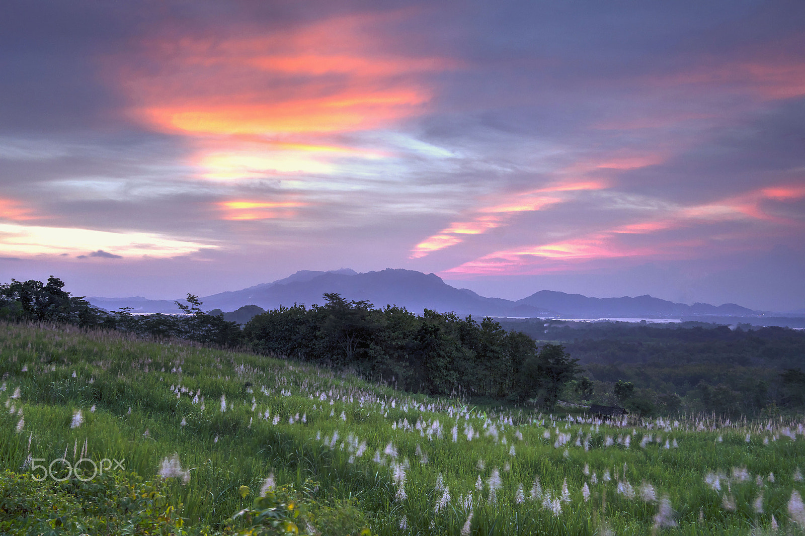 Sony Alpha NEX-7 + Sigma 19mm F2.8 EX DN sample photo. Sunset photography