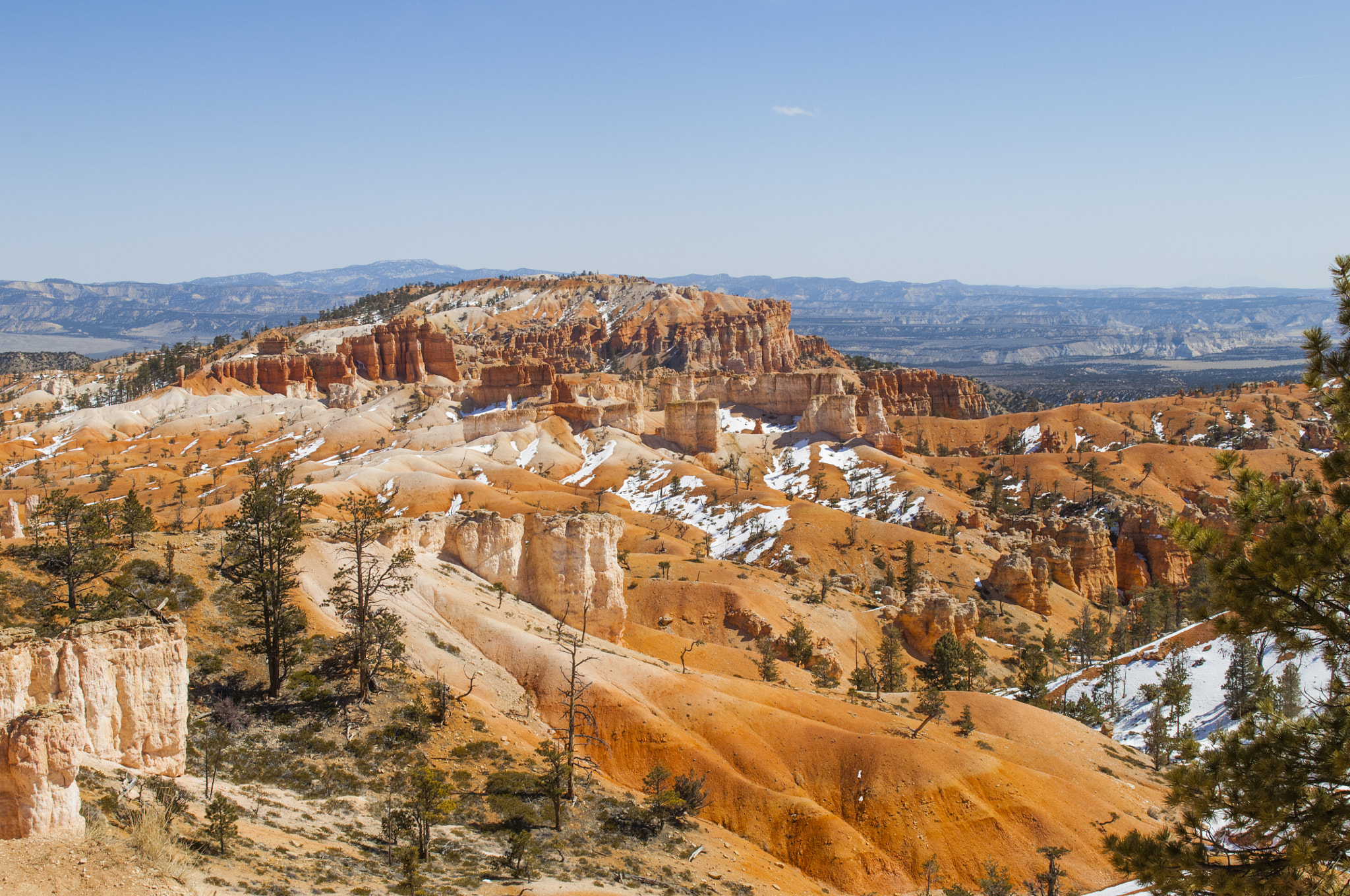 Nikon D2Xs sample photo. Amerika rundreise usa red-u-brice_canyon photography