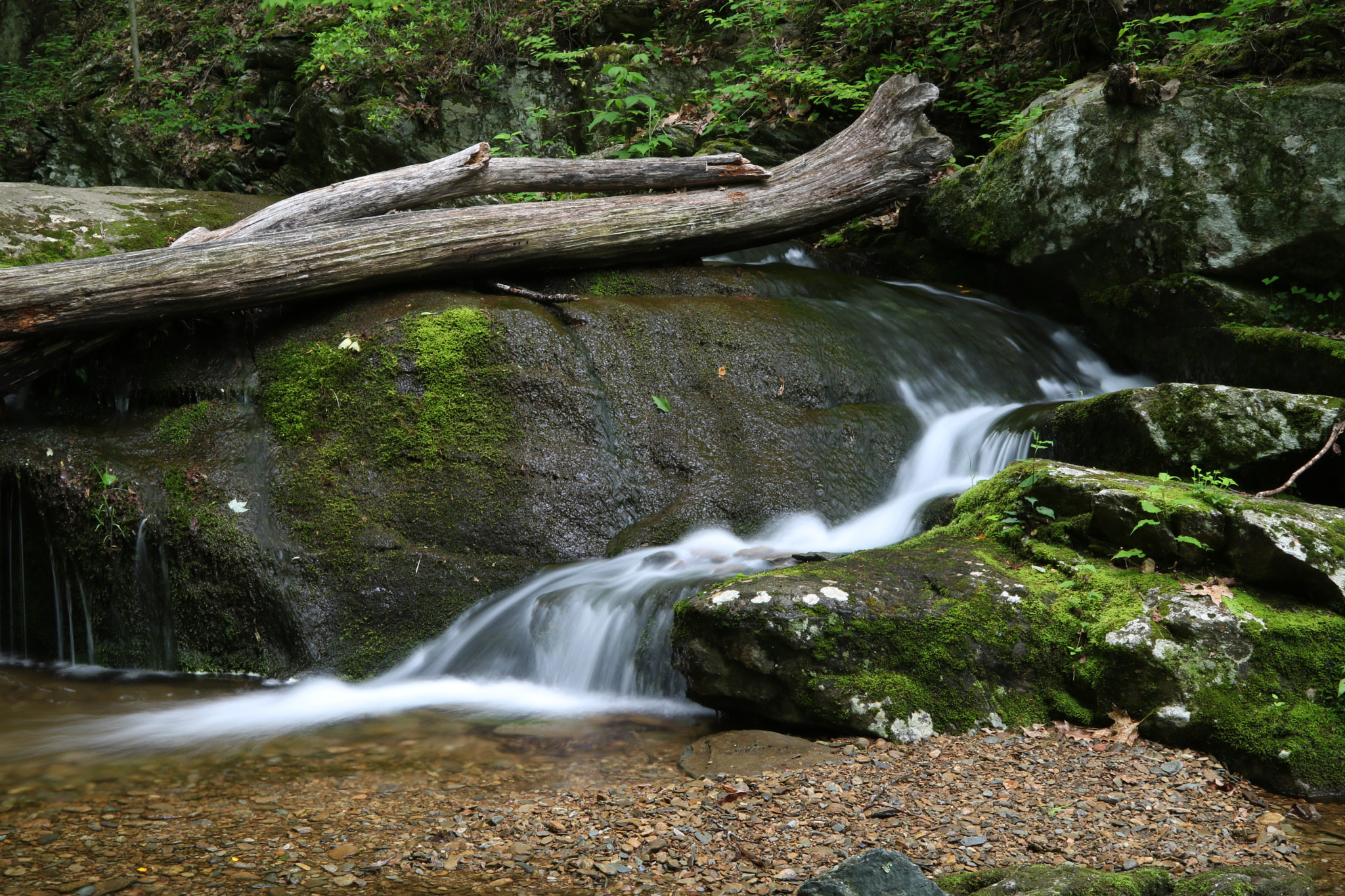 Canon EOS 760D (EOS Rebel T6s / EOS 8000D) sample photo. White rock falls photography