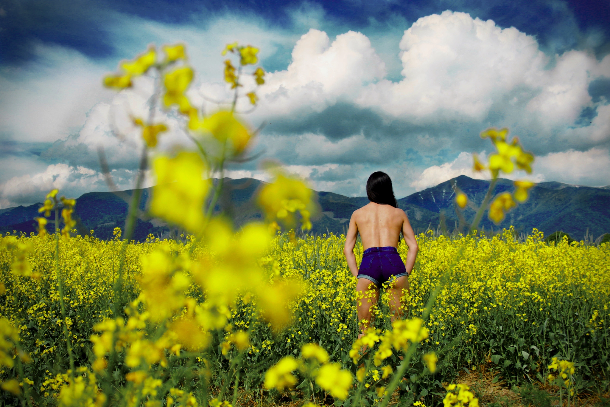 Canon EF-S 18-55mm F3.5-5.6 sample photo. Woman in a field photography