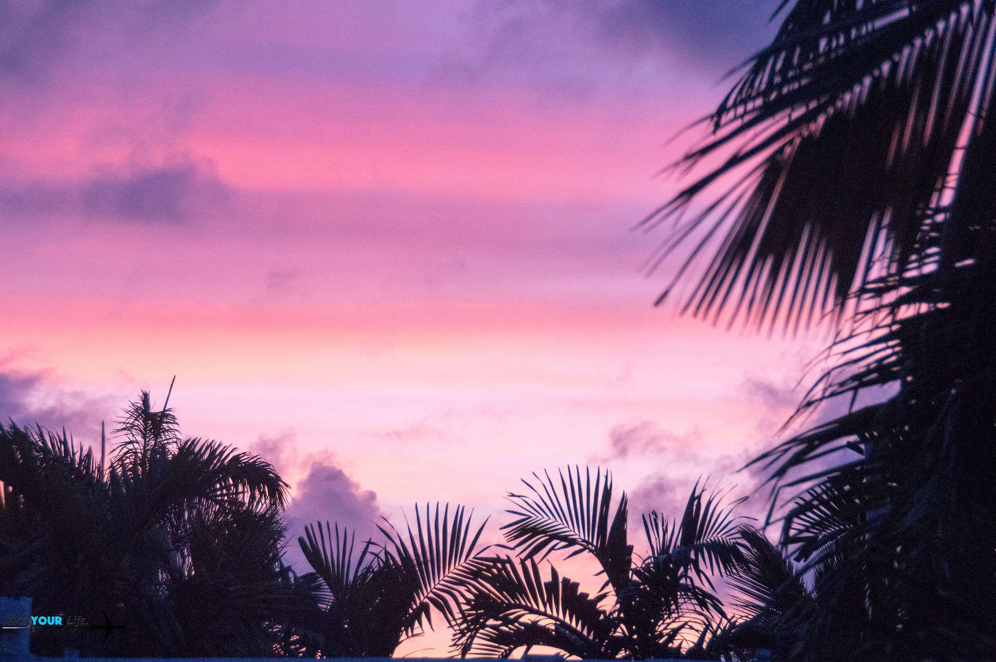 Sony DT 18-250mm F3.5-6.3 sample photo. Purple and orange sunset with palm trees photography
