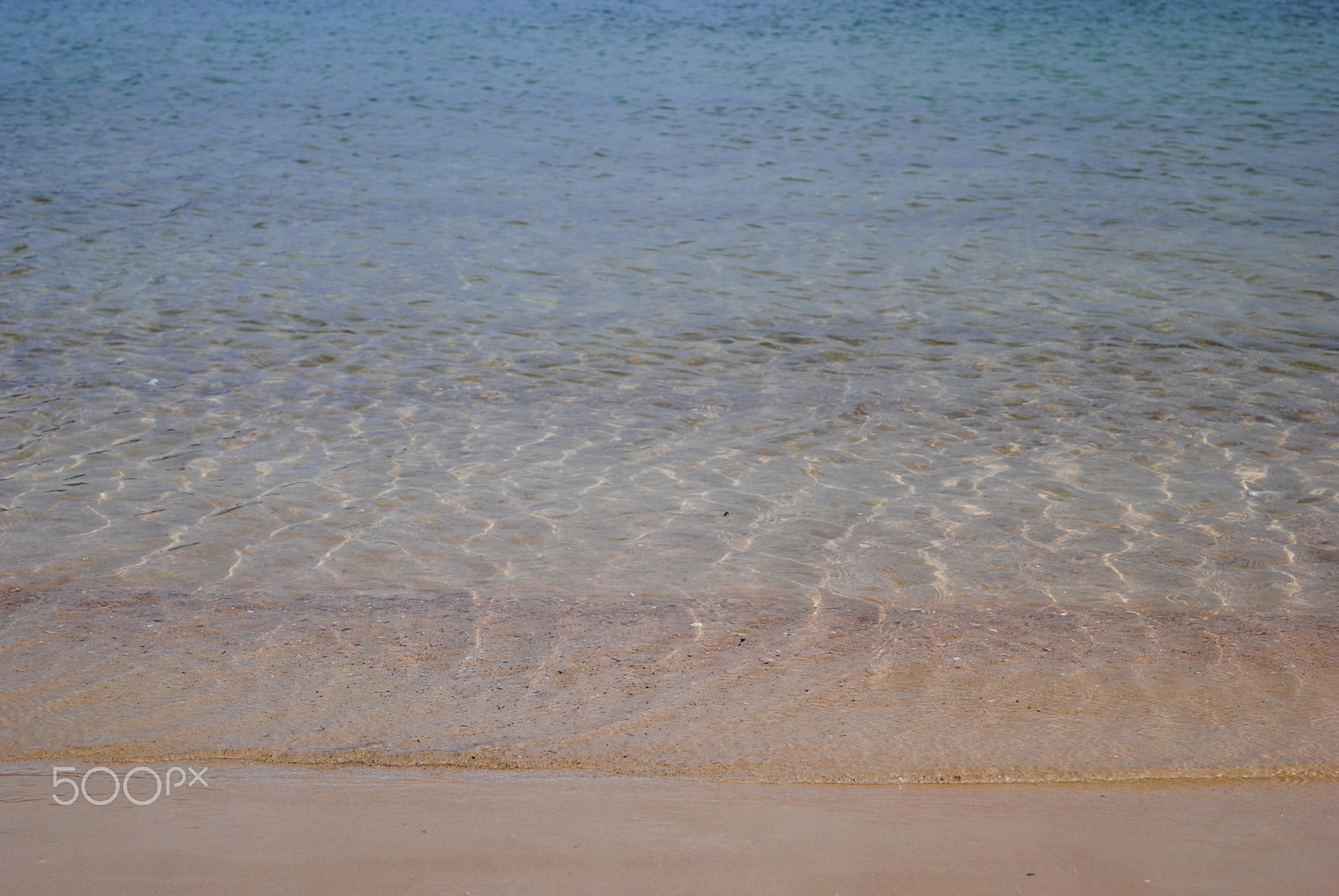 Nikon D3000 sample photo. Lapping water's edge photography