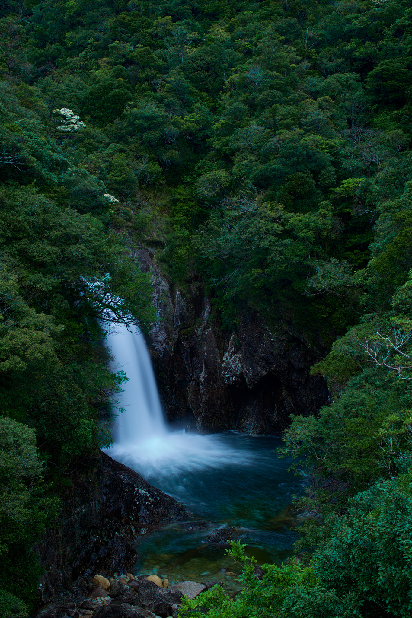 Sony Vario Tessar T* FE 24-70mm F4 ZA OSS sample photo. A waterfall of yakushima, japan photography