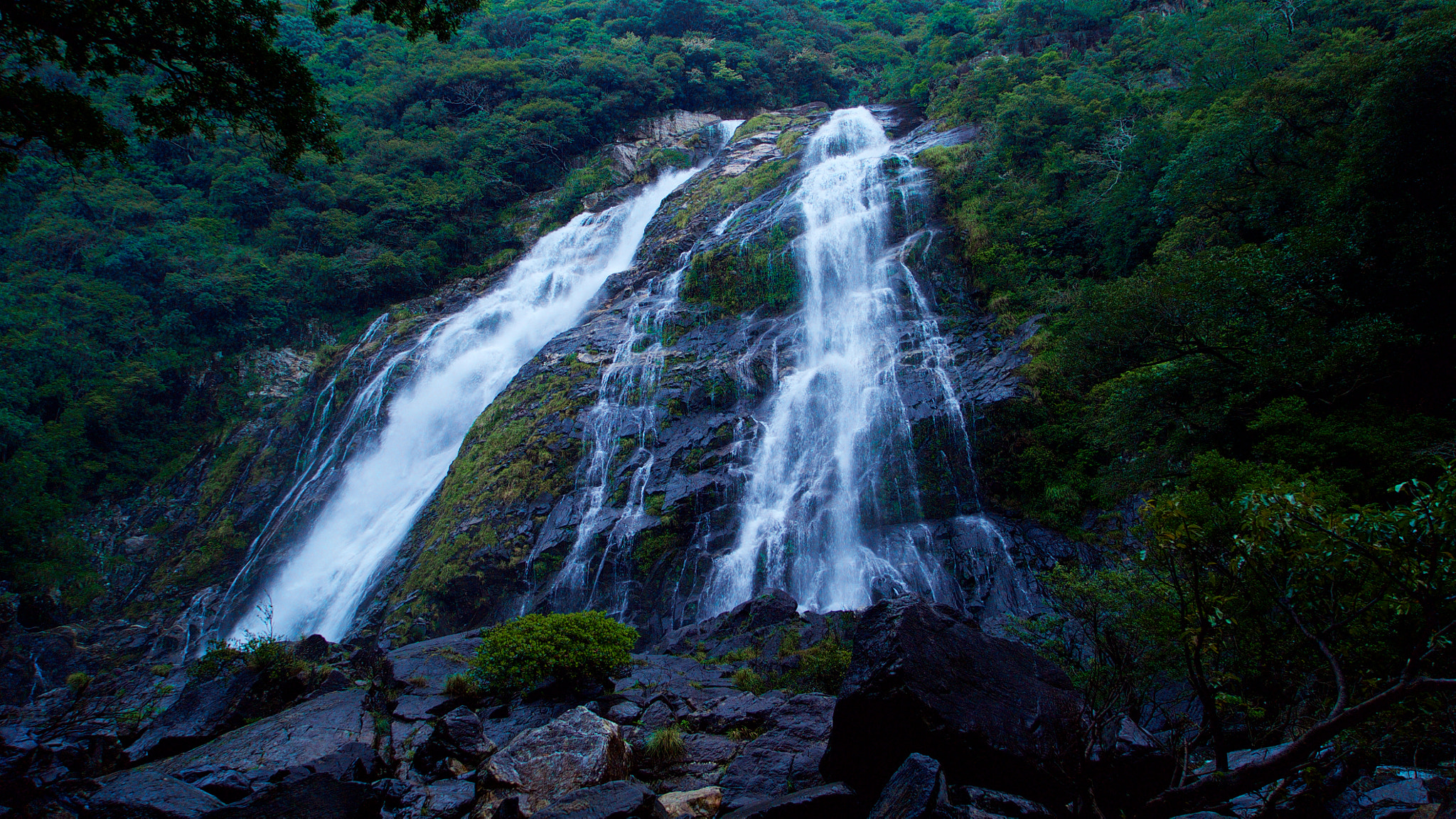 Sony a7S + Sony Vario Tessar T* FE 24-70mm F4 ZA OSS sample photo. A waterfall of yakushima, japan photography
