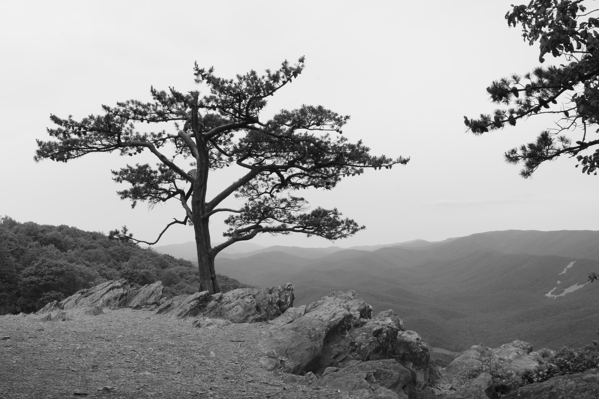 Canon EOS 760D (EOS Rebel T6s / EOS 8000D) sample photo. Raven's roost photography