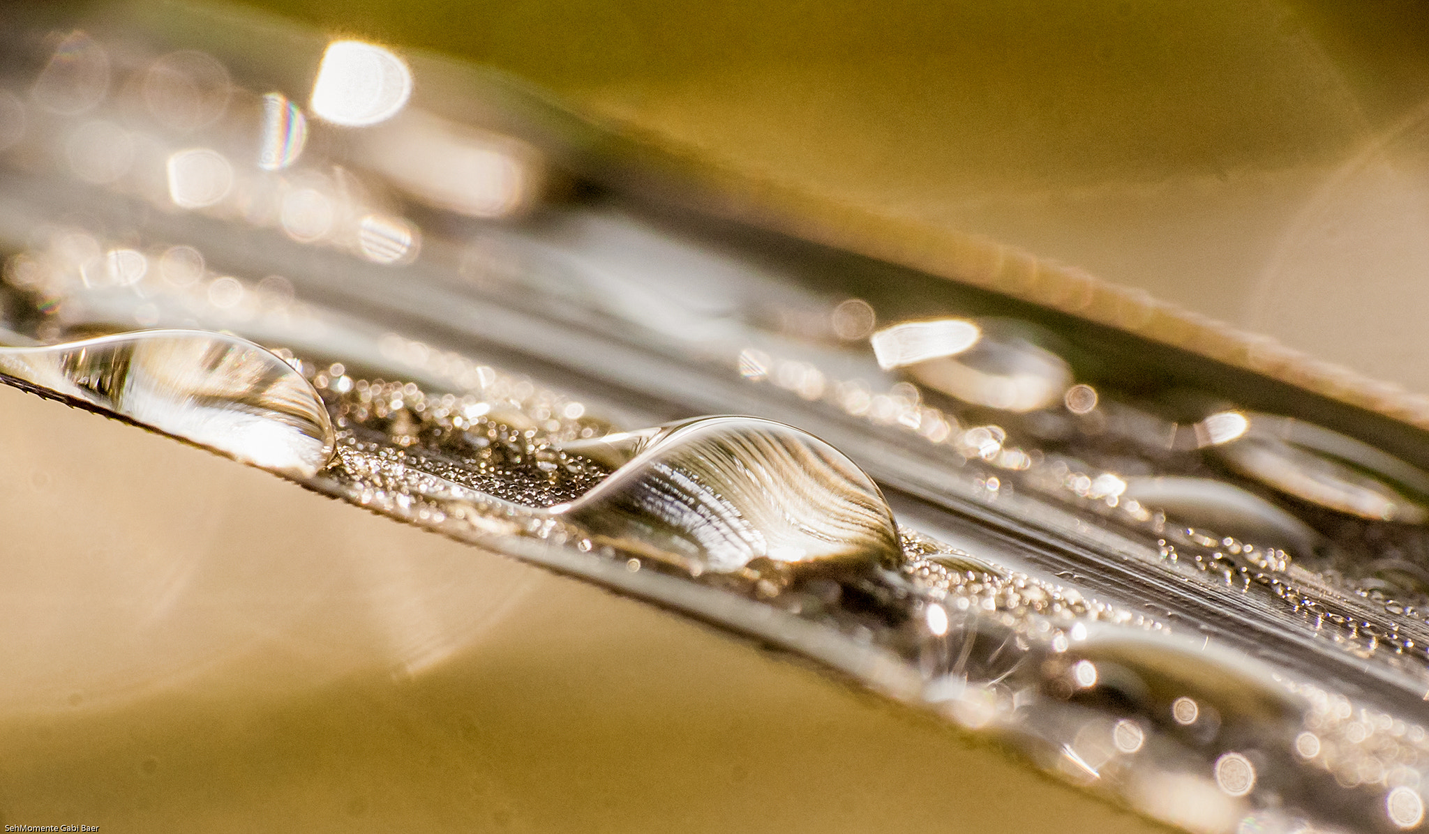 Olympus E-620 (EVOLT E-620) + OLYMPUS 14-42mm Lens sample photo. Golden raindrops photography