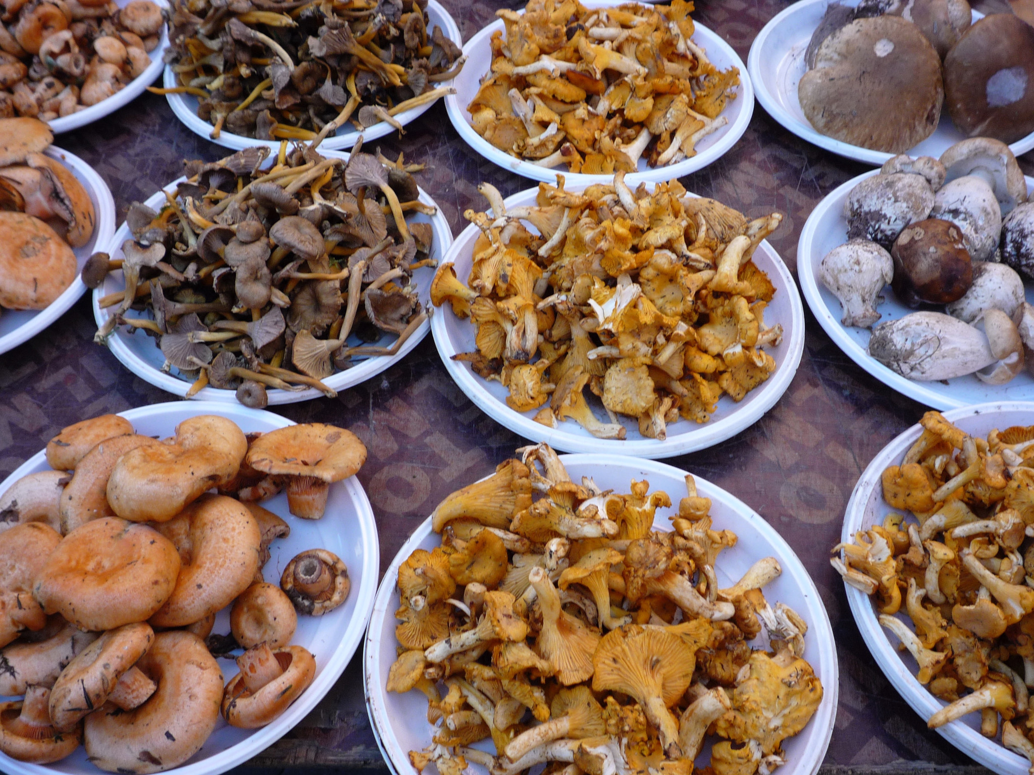 Panasonic DMC-FX35 sample photo. Mushrooms for sale photography