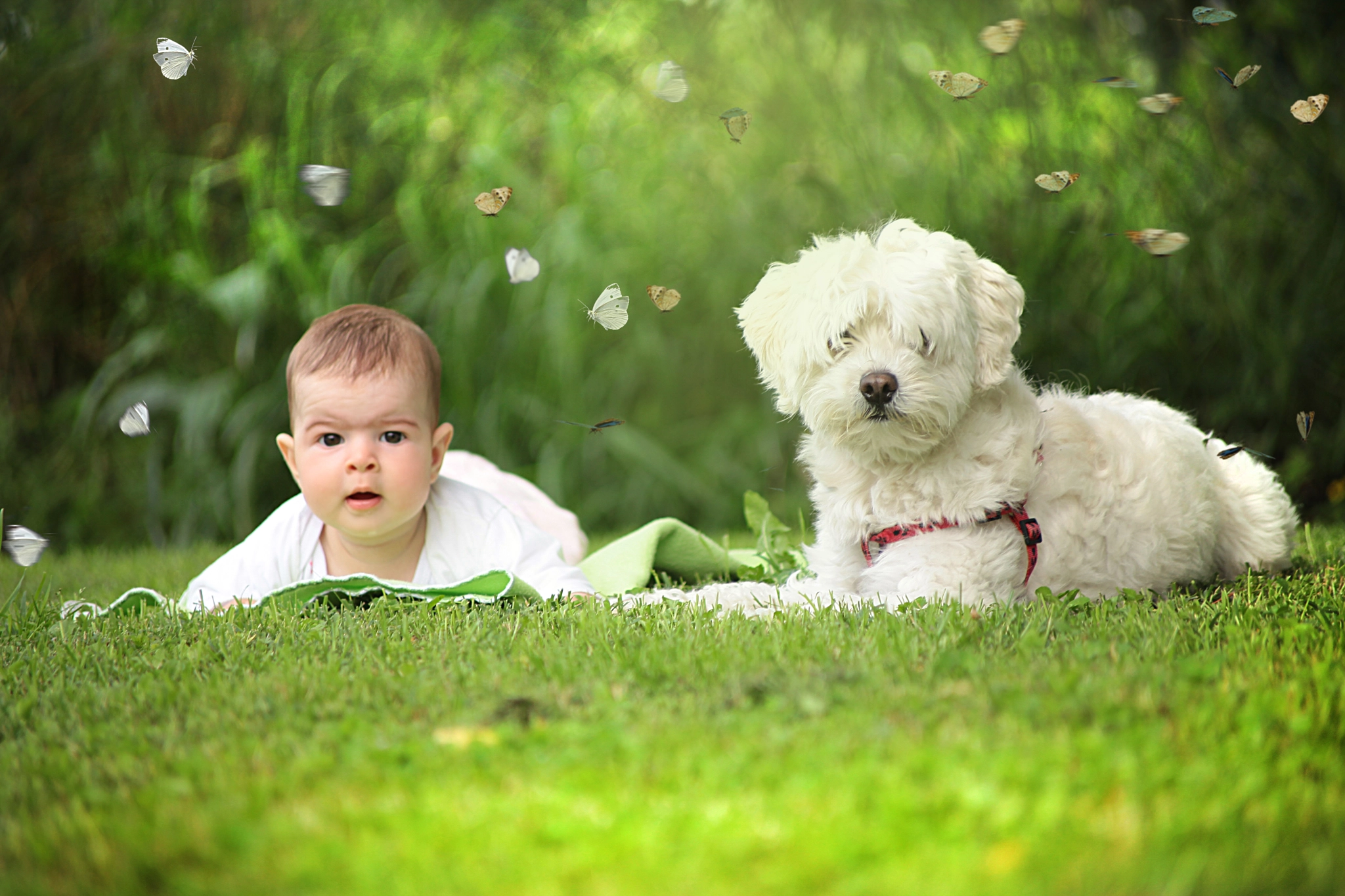 Canon EF 70-210mm f/4 sample photo. Look!!! photography