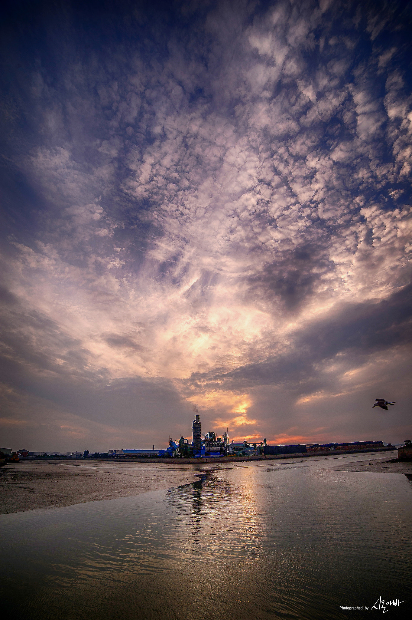 Nikon D3S sample photo. Bookseong pogu(port) @incheon, south korea photography