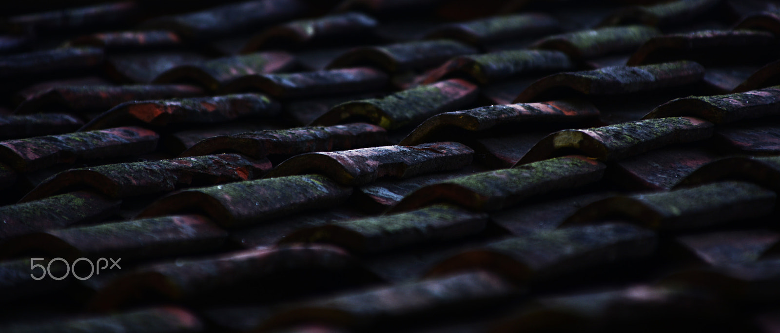 Sigma 28-300mm F3.5-6.3 DG Macro sample photo. Rooftiles #2 photography