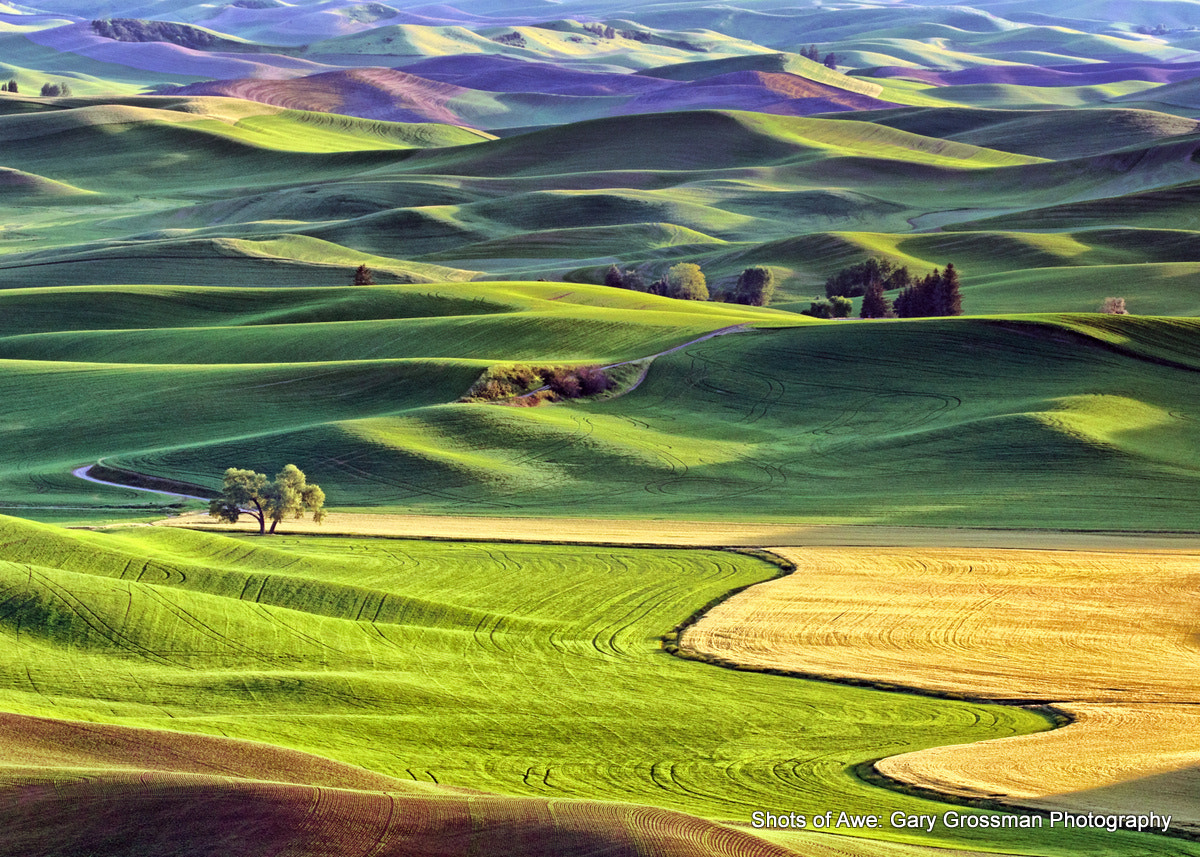 Canon EF 100-400mm F4.5-5.6L IS II USM sample photo. Farmland photography
