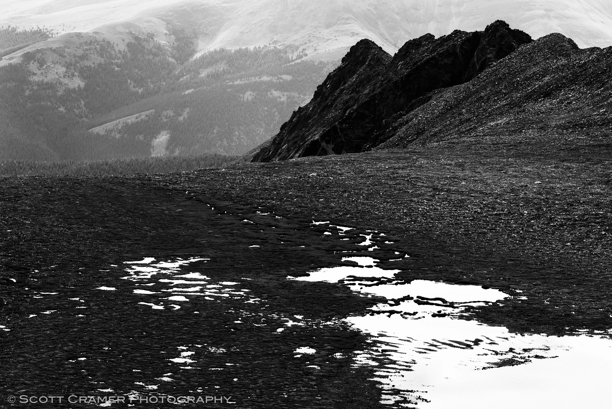 Nikon D200 sample photo. Mountain wetlands headwaters creek photography