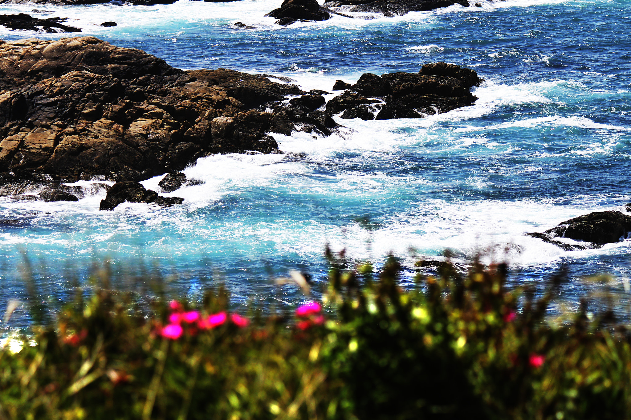Canon EF-S 55-250mm F4-5.6 IS sample photo. Breath. photography