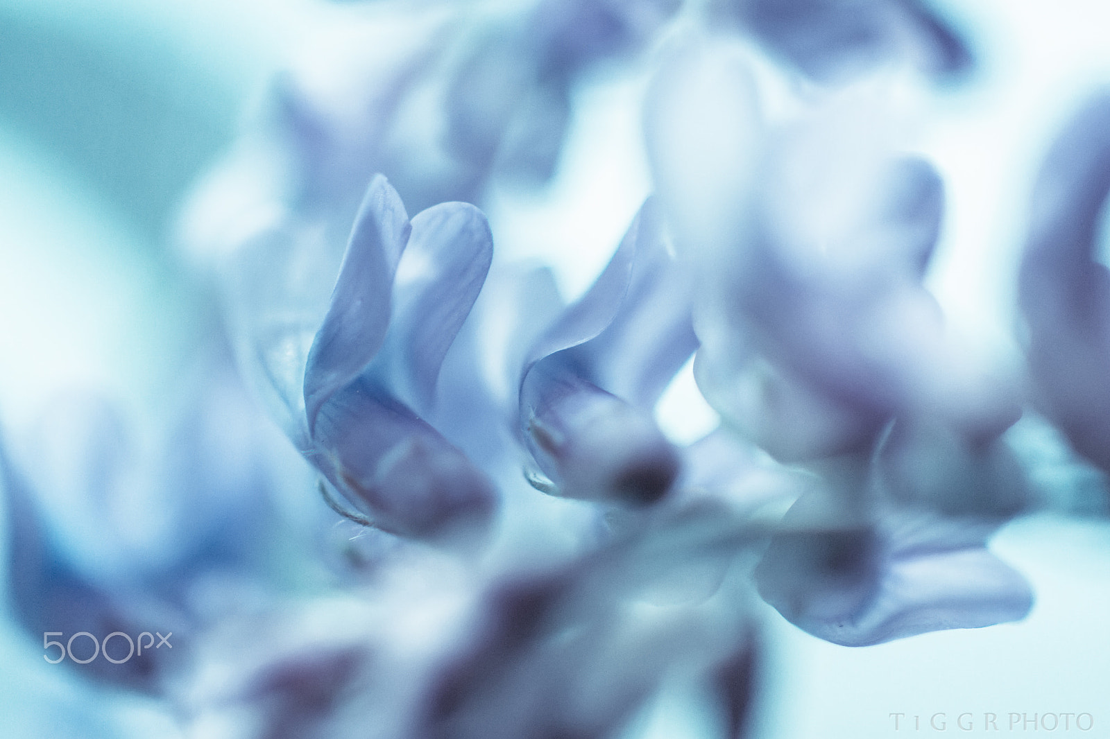 Samsung NX30 + Samsung NX 60mm F2.8 Macro ED OIS SSA sample photo. Ocean photography