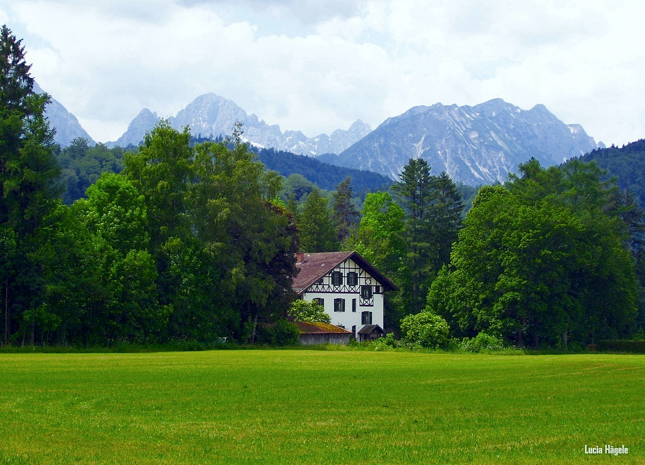 Kodak EASYSHARE C653 ZOOM DIGITAL CAMERA sample photo. Country house photography