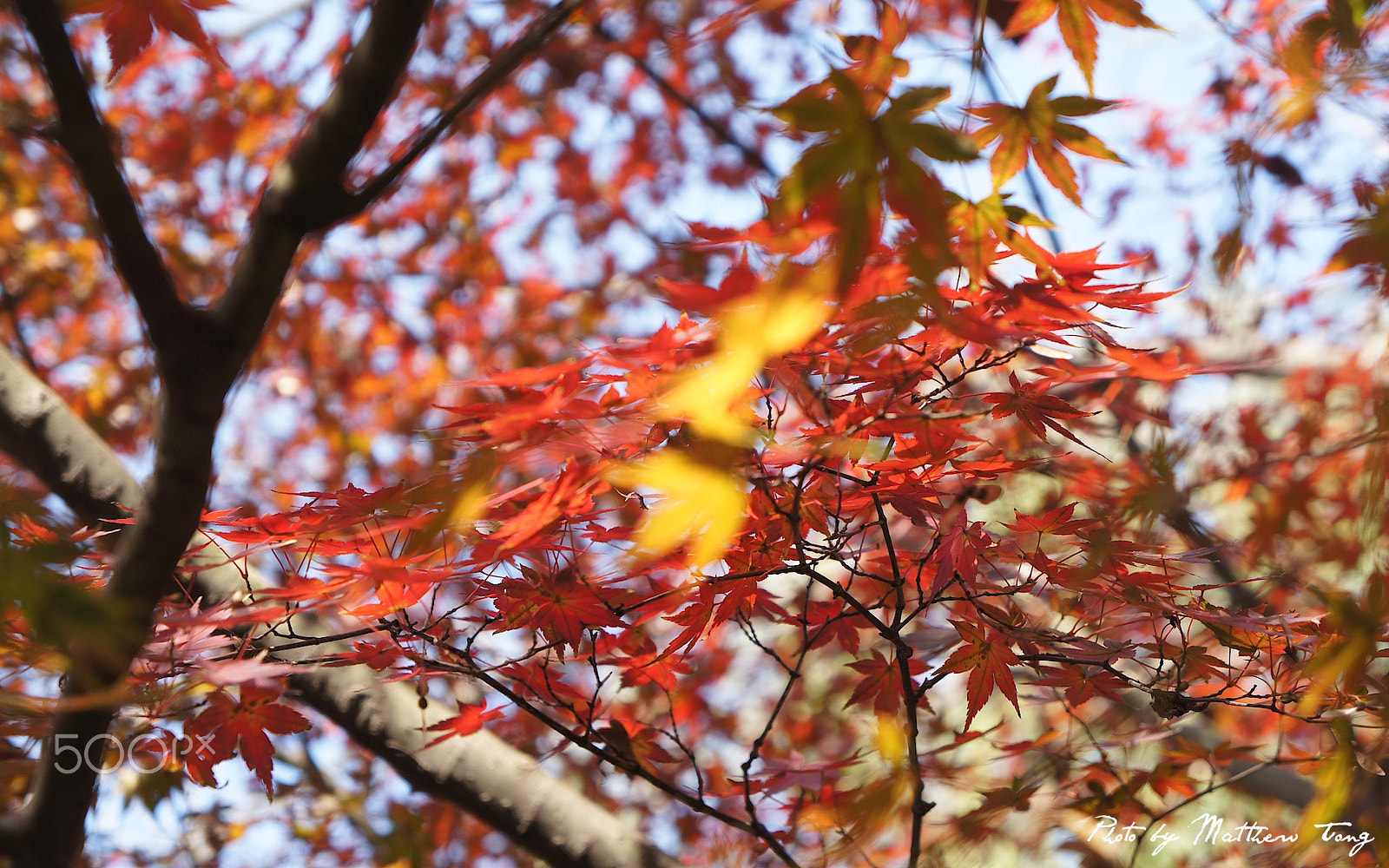 Sony Alpha NEX-C3 sample photo. Sony dsc photography
